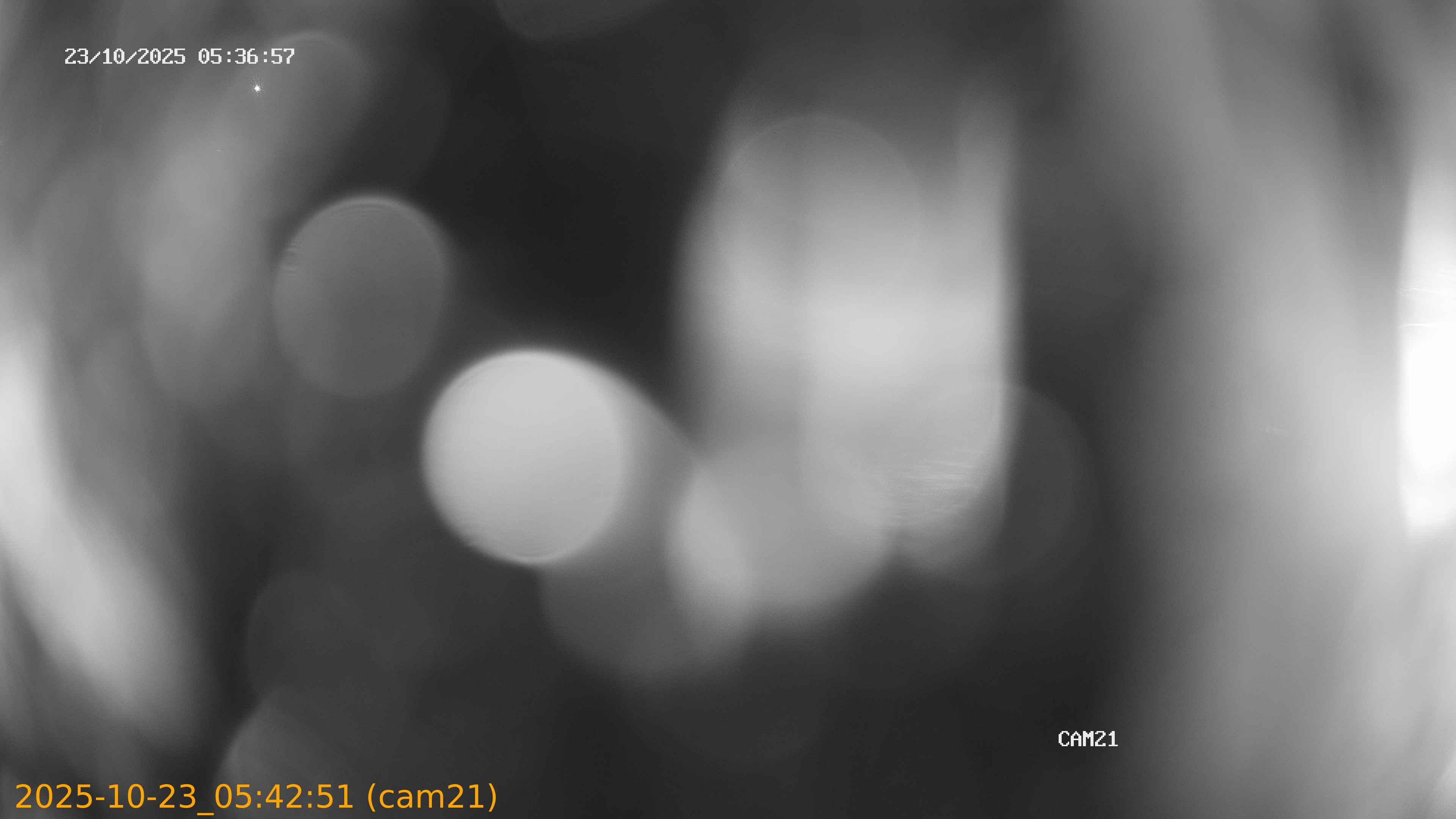 20251023054251
