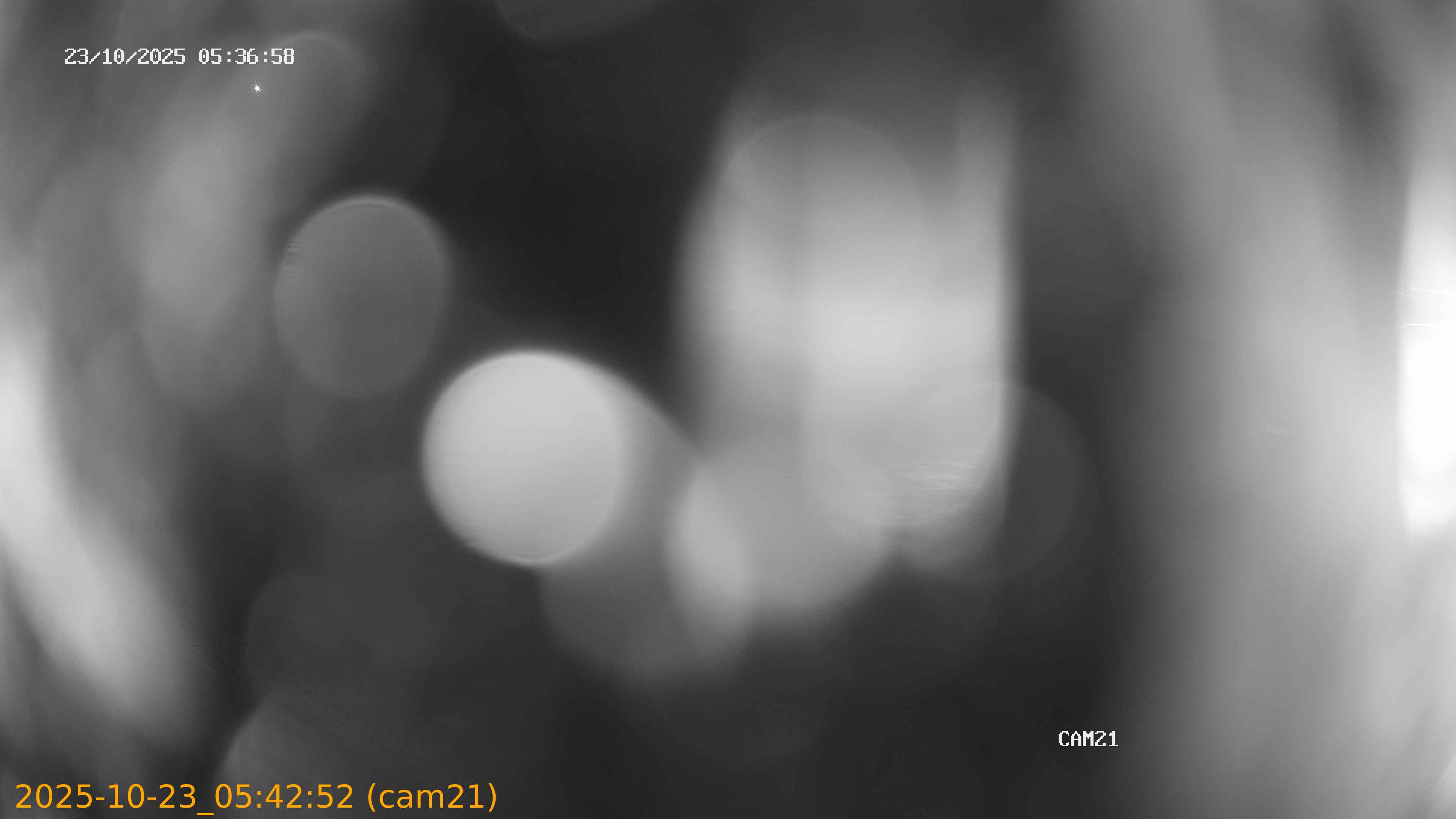 20251023054252