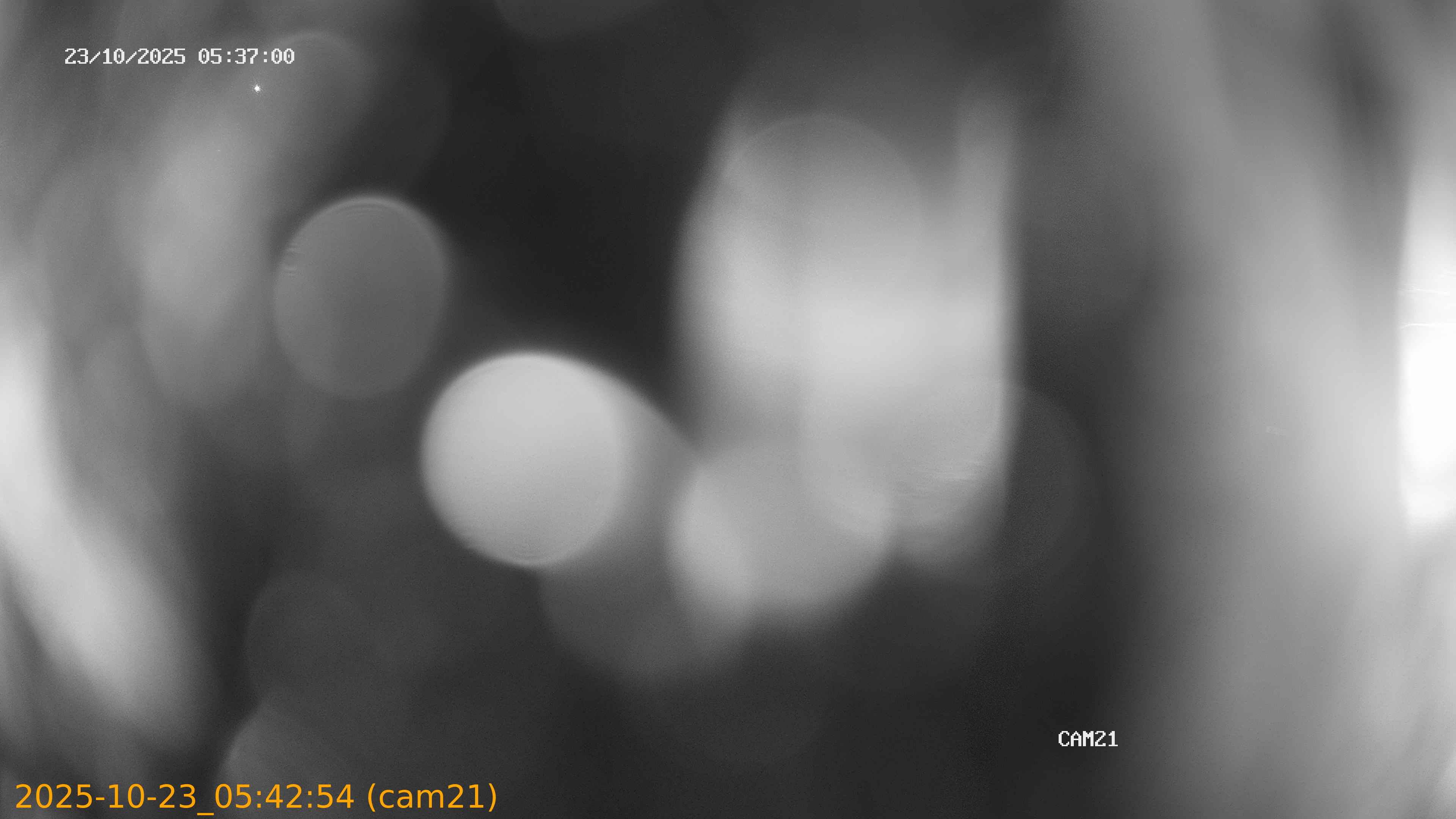 20251023054254