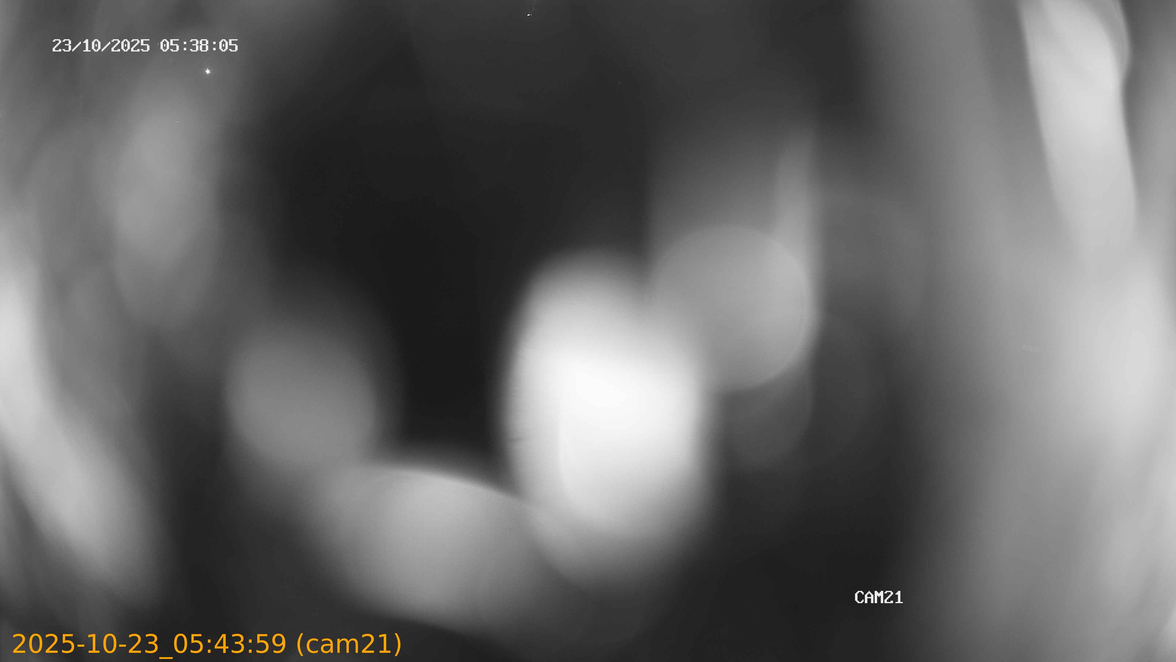 thumbnail_202510230543
