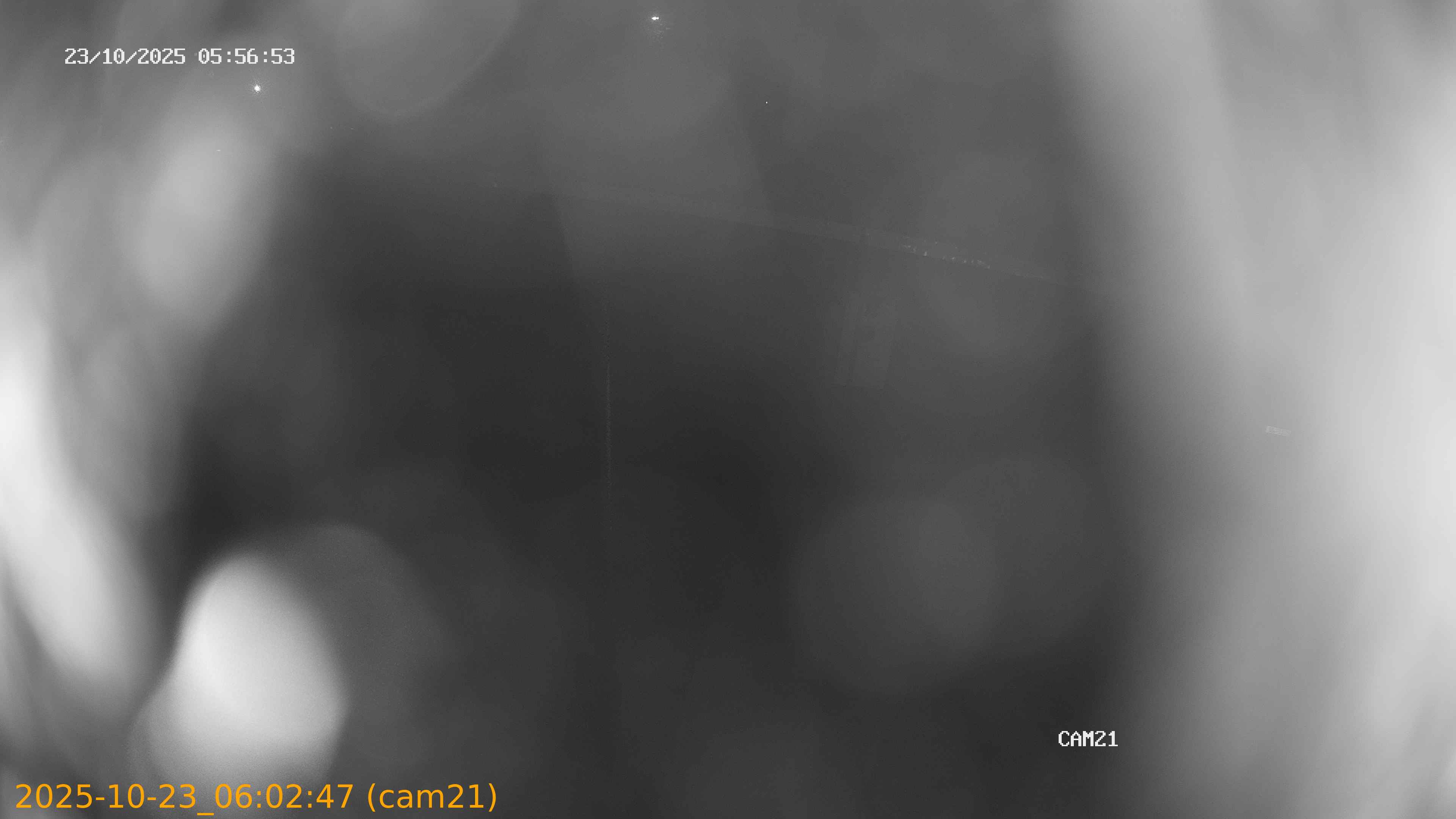 20251023060247