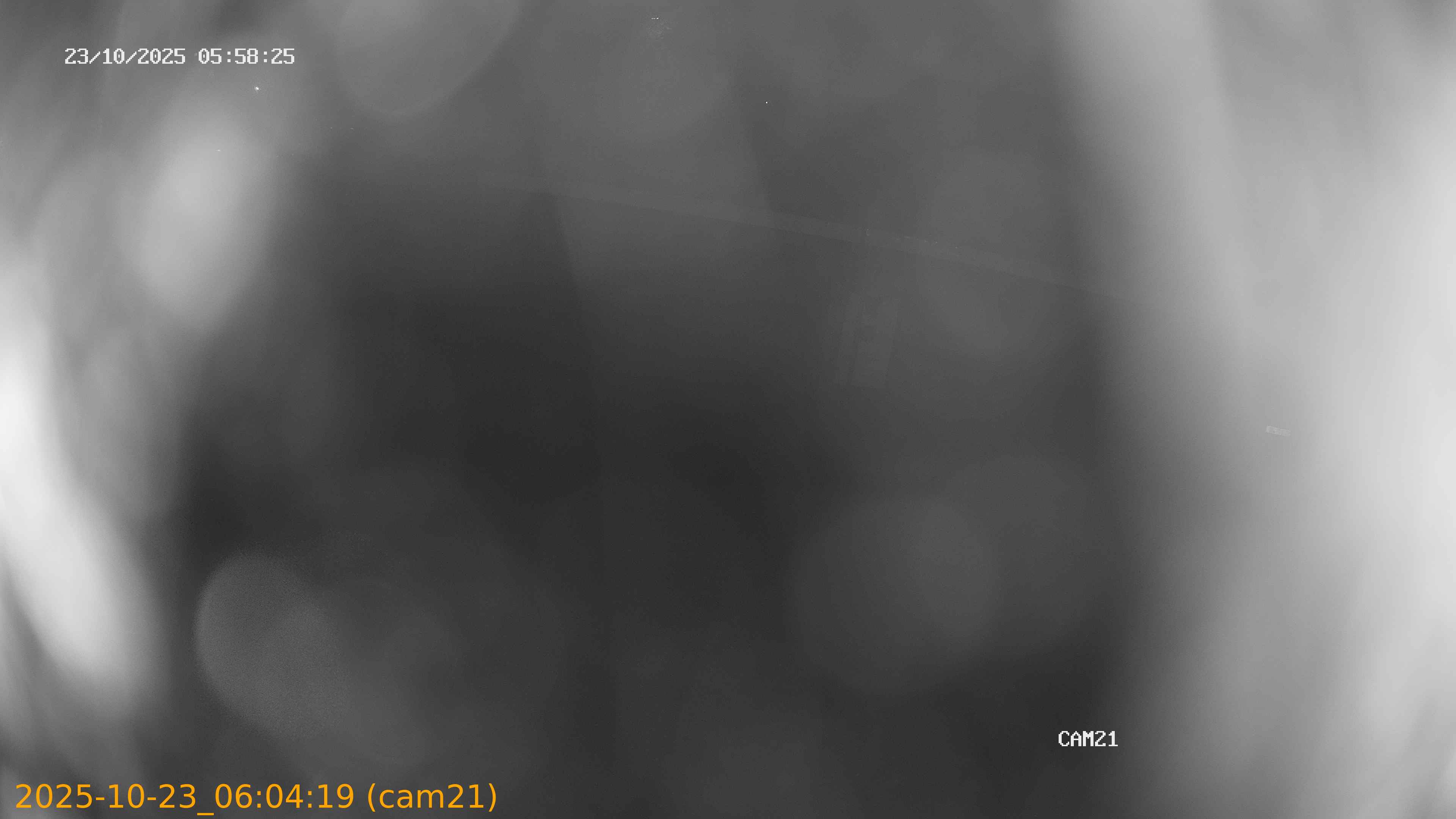 20251023060419