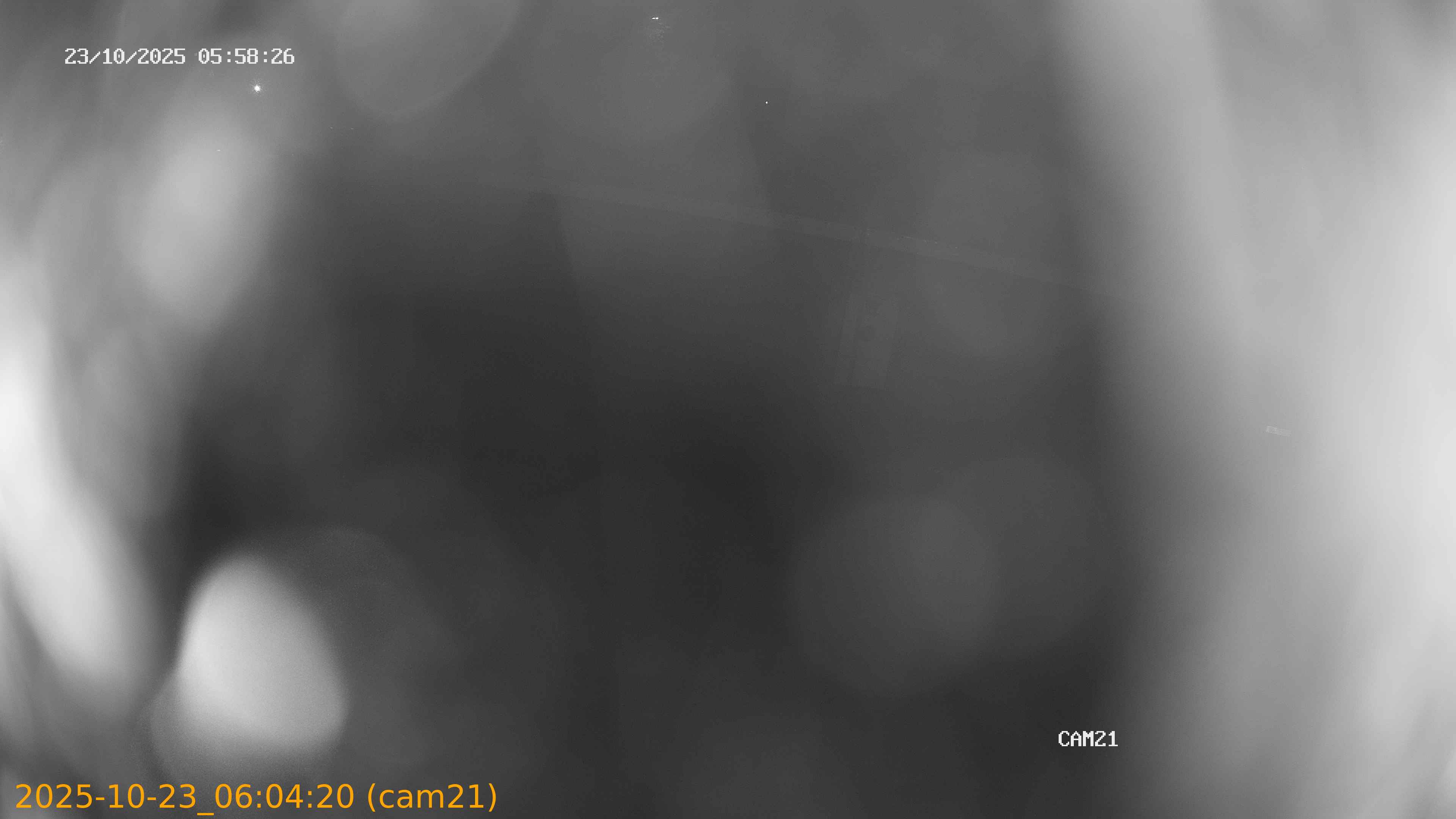 20251023060420