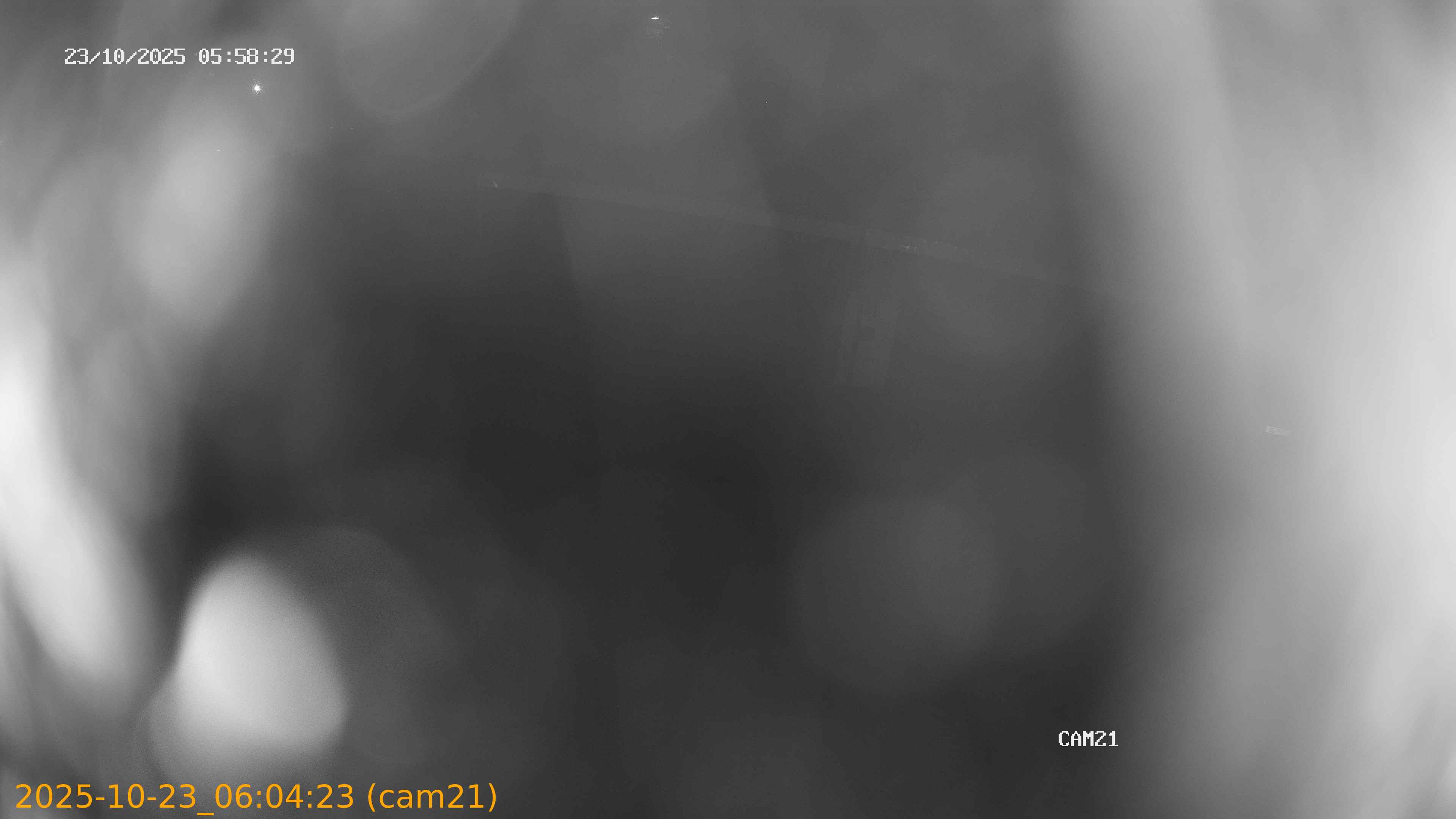 20251023060423