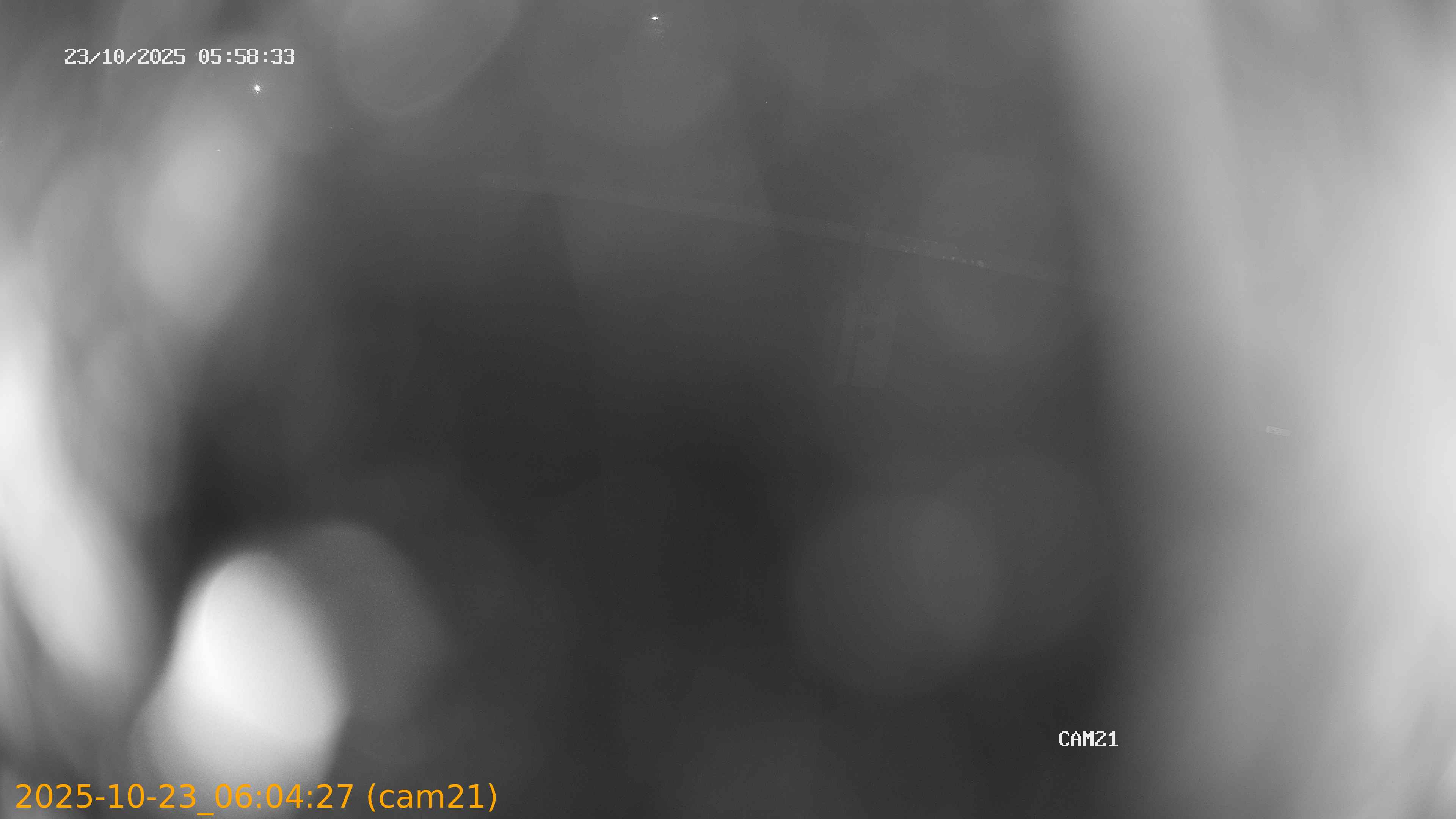 20251023060427