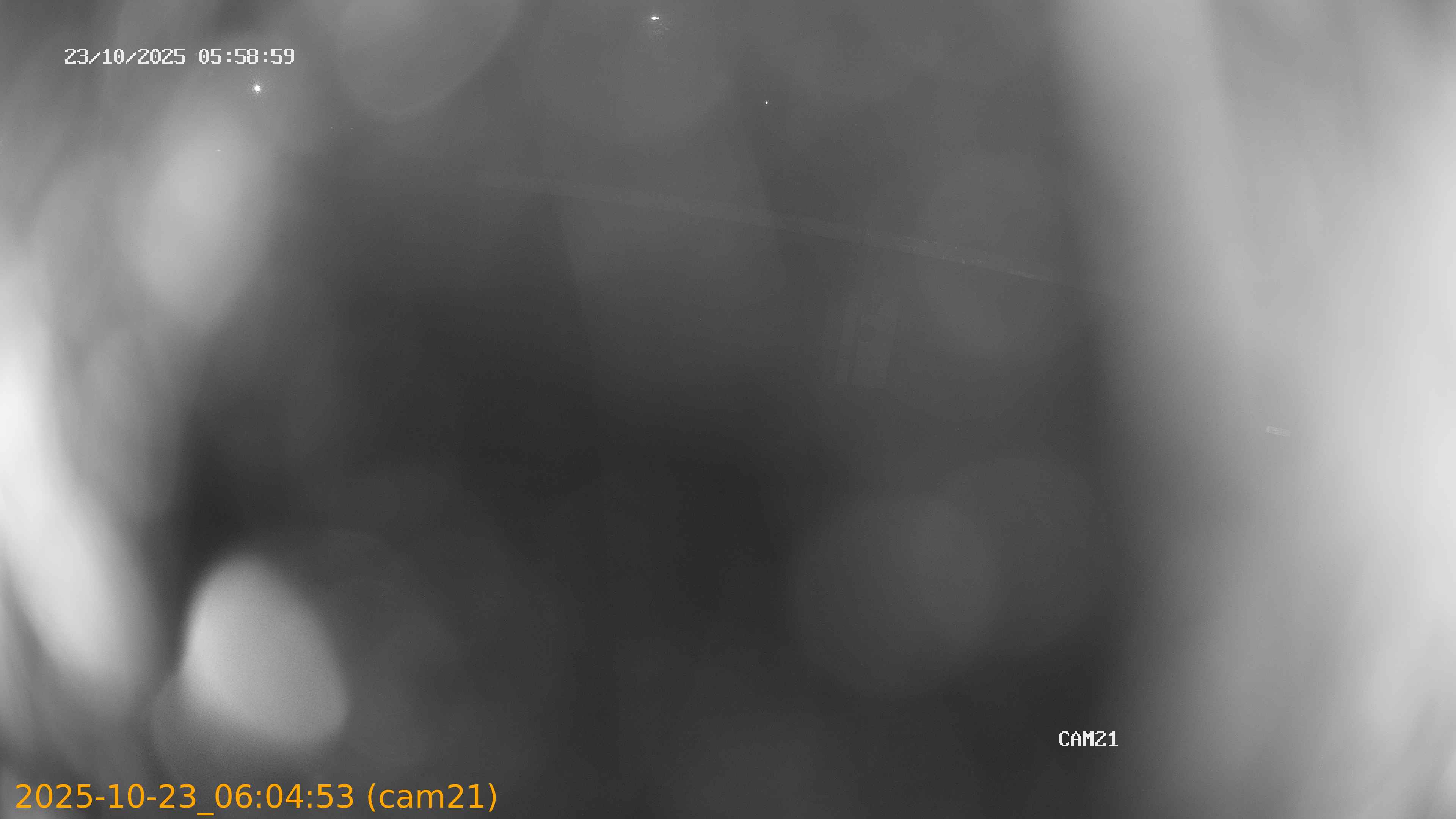 20251023060453
