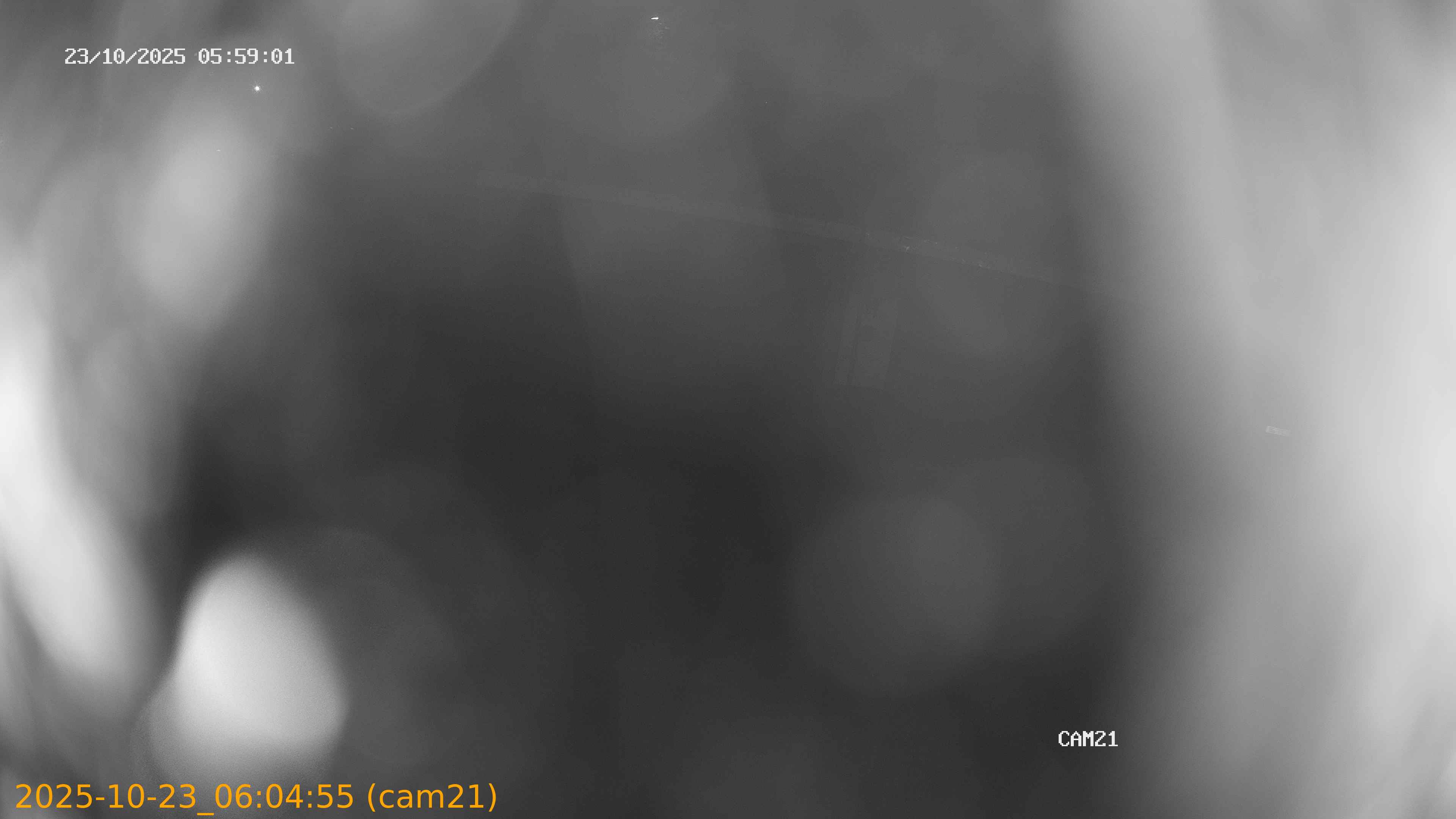 20251023060455