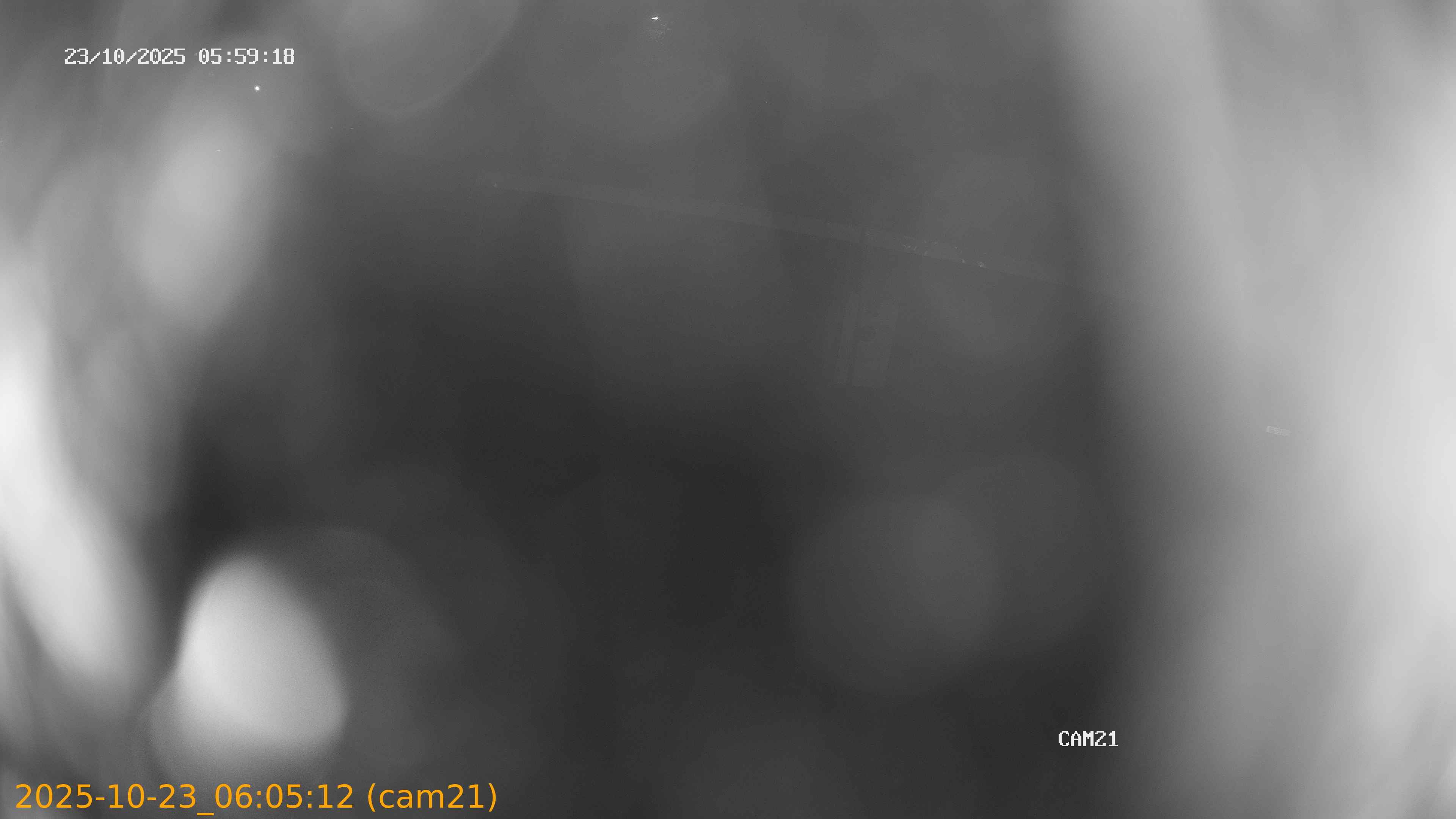 20251023060512