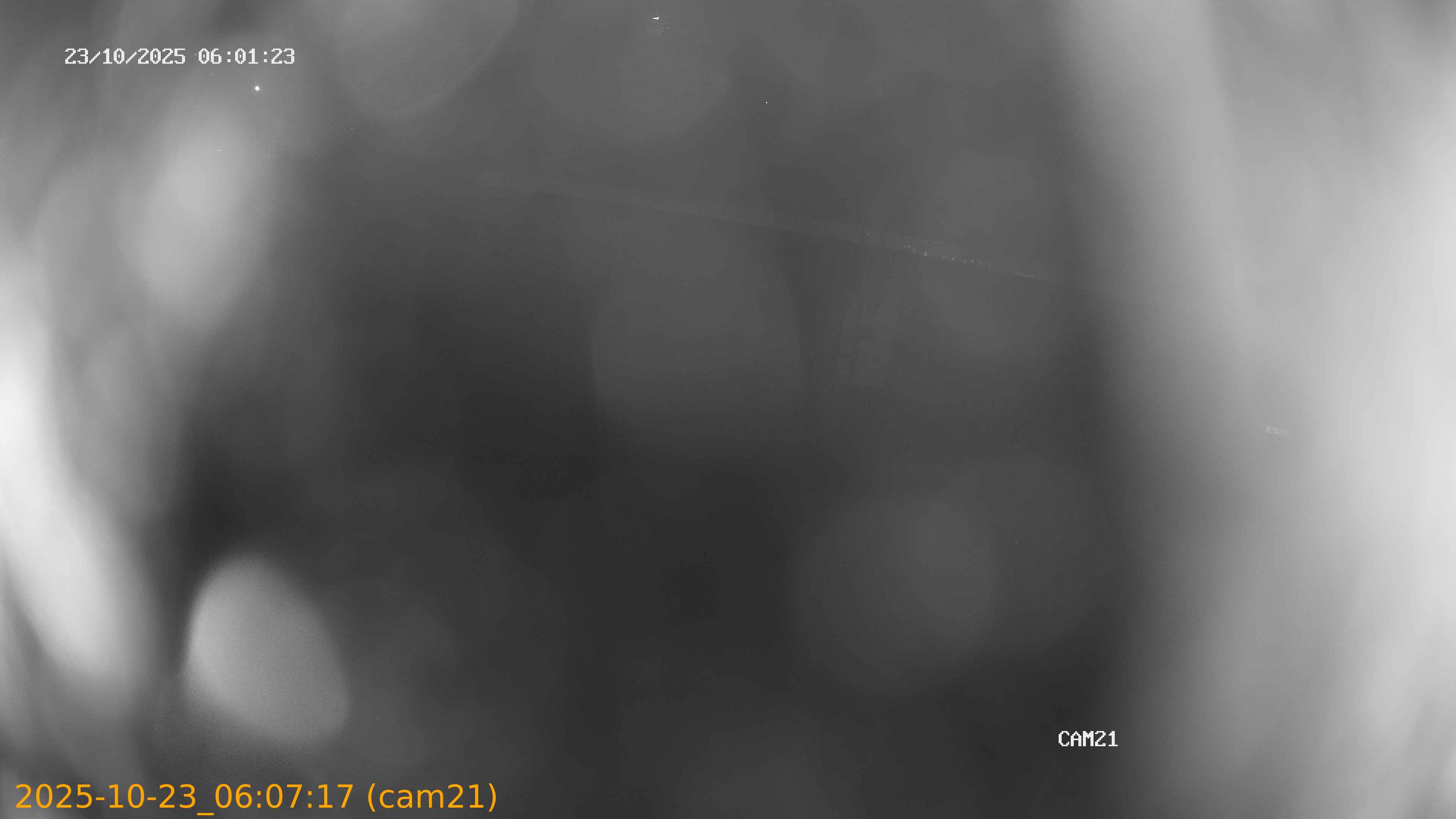 20251023060717