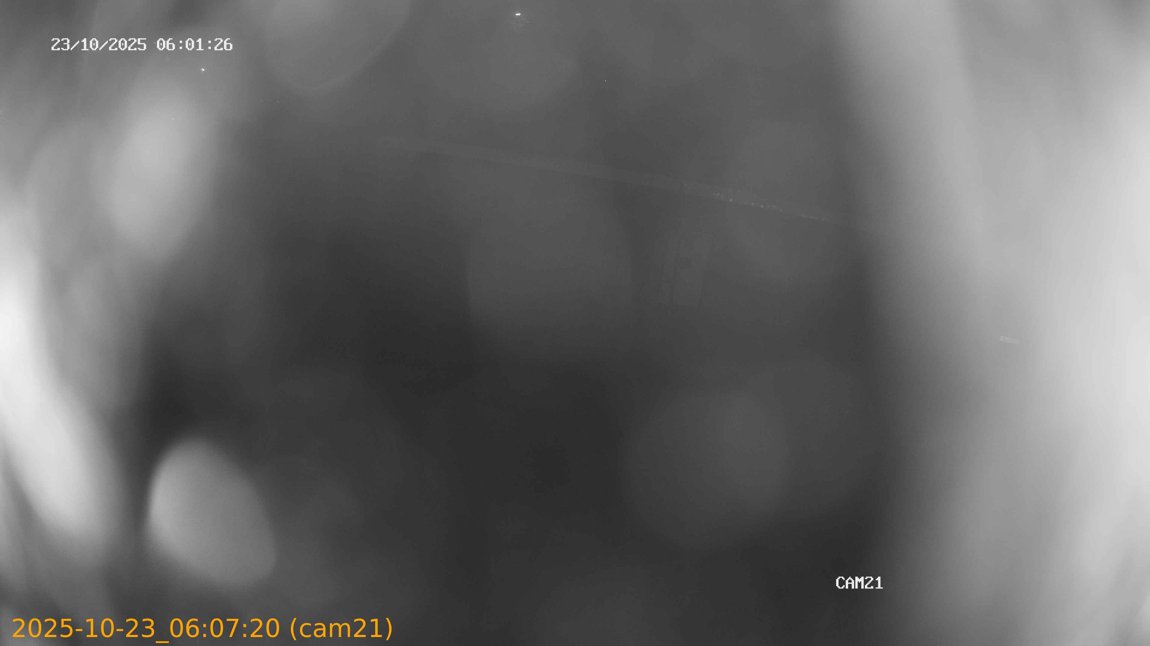20251023060720