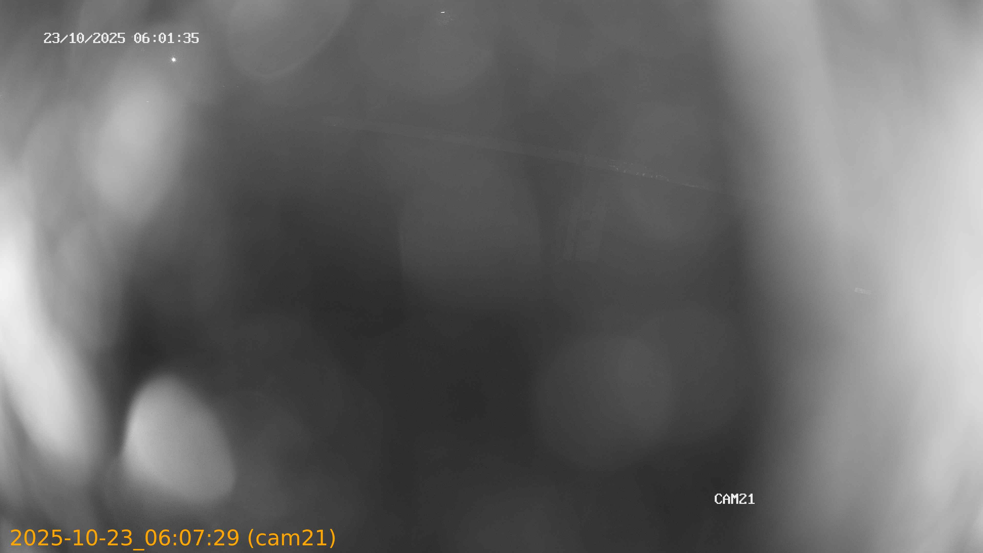 20251023060729