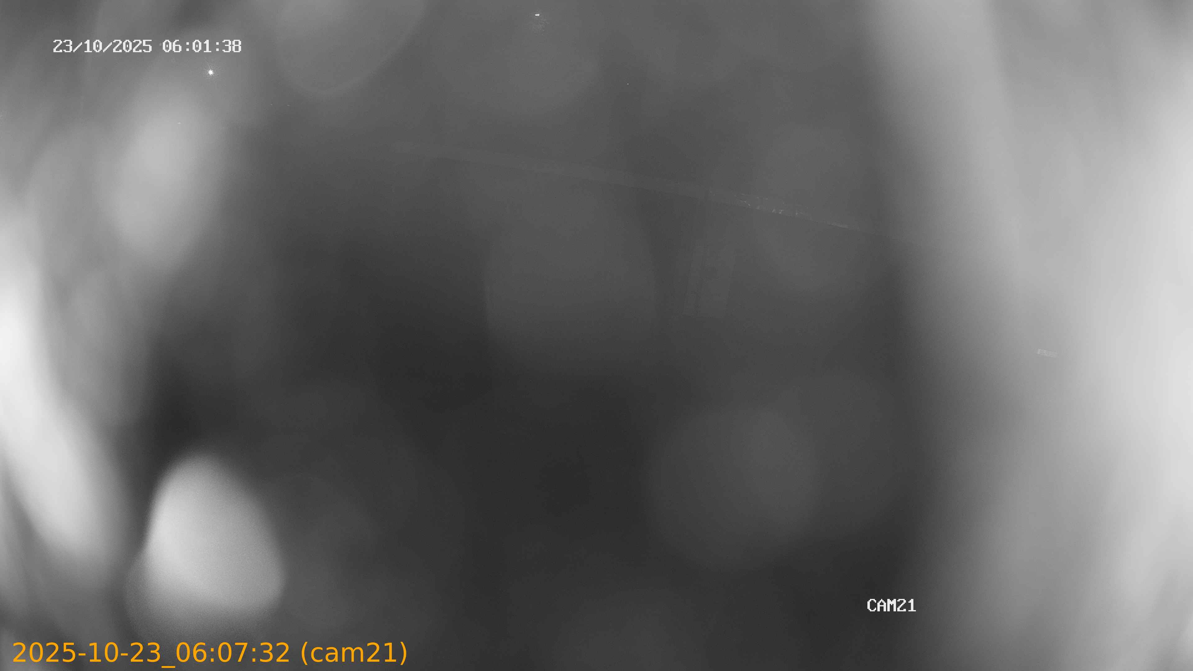 20251023060732