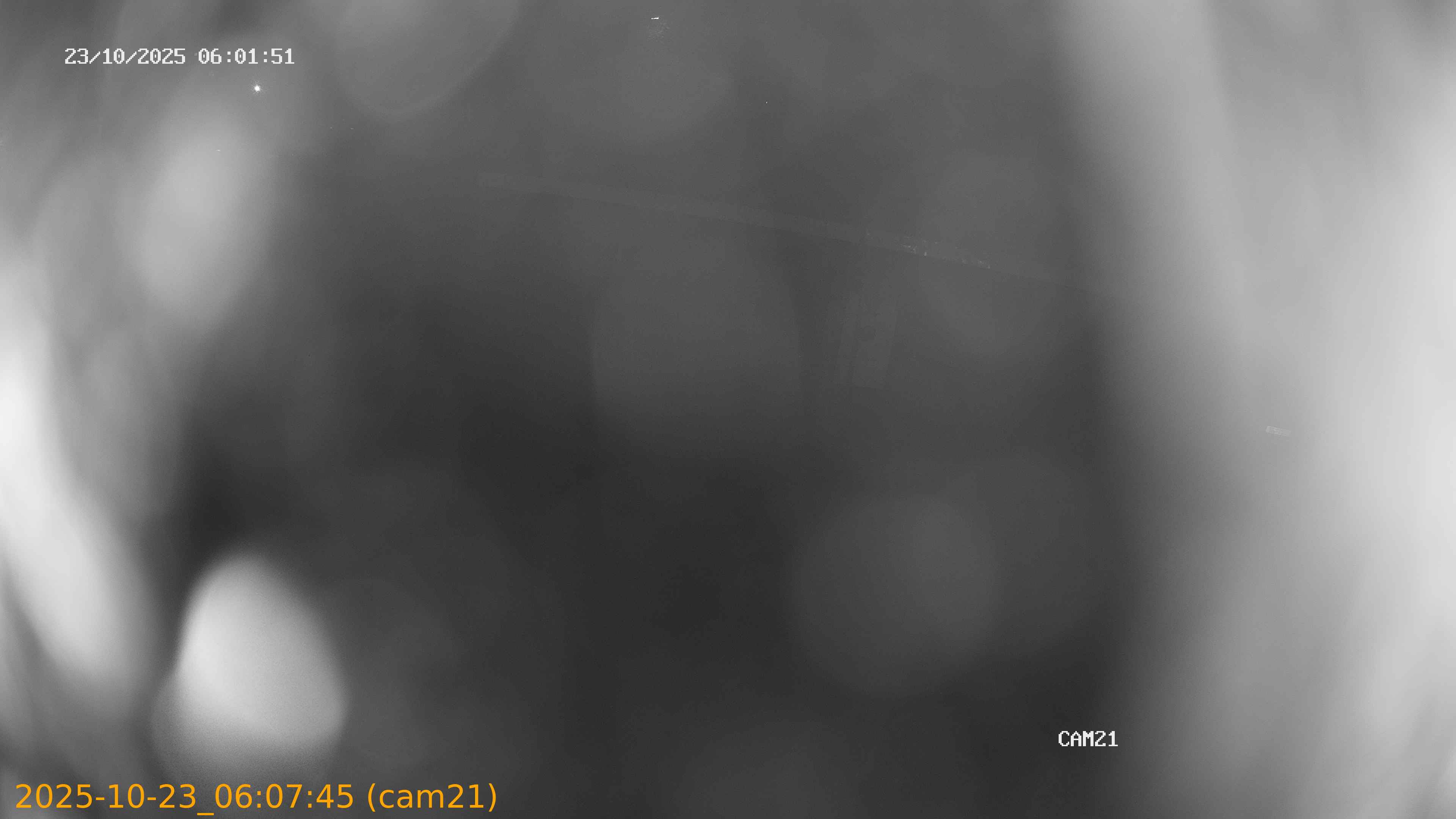 20251023060745
