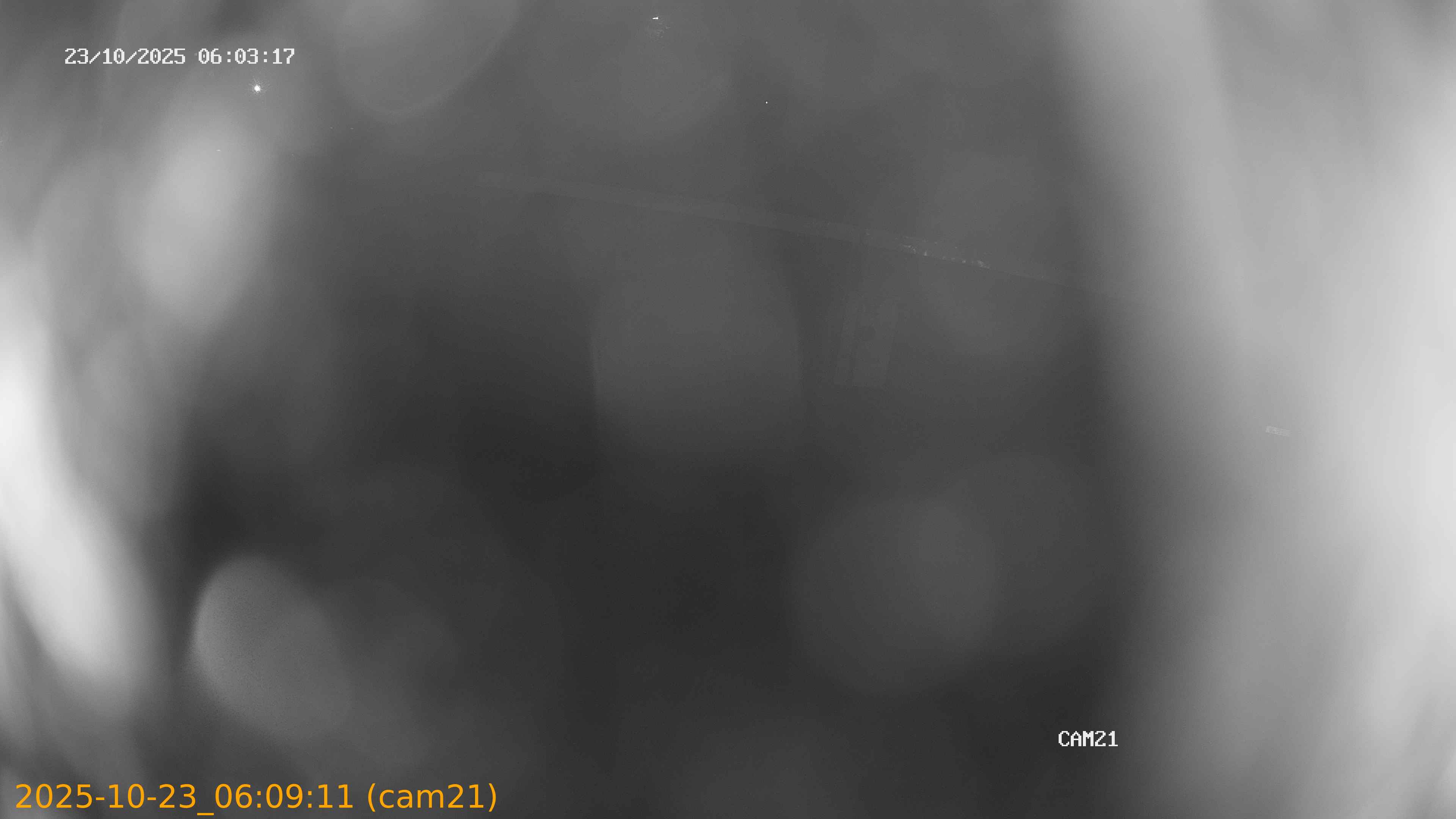 20251023060911