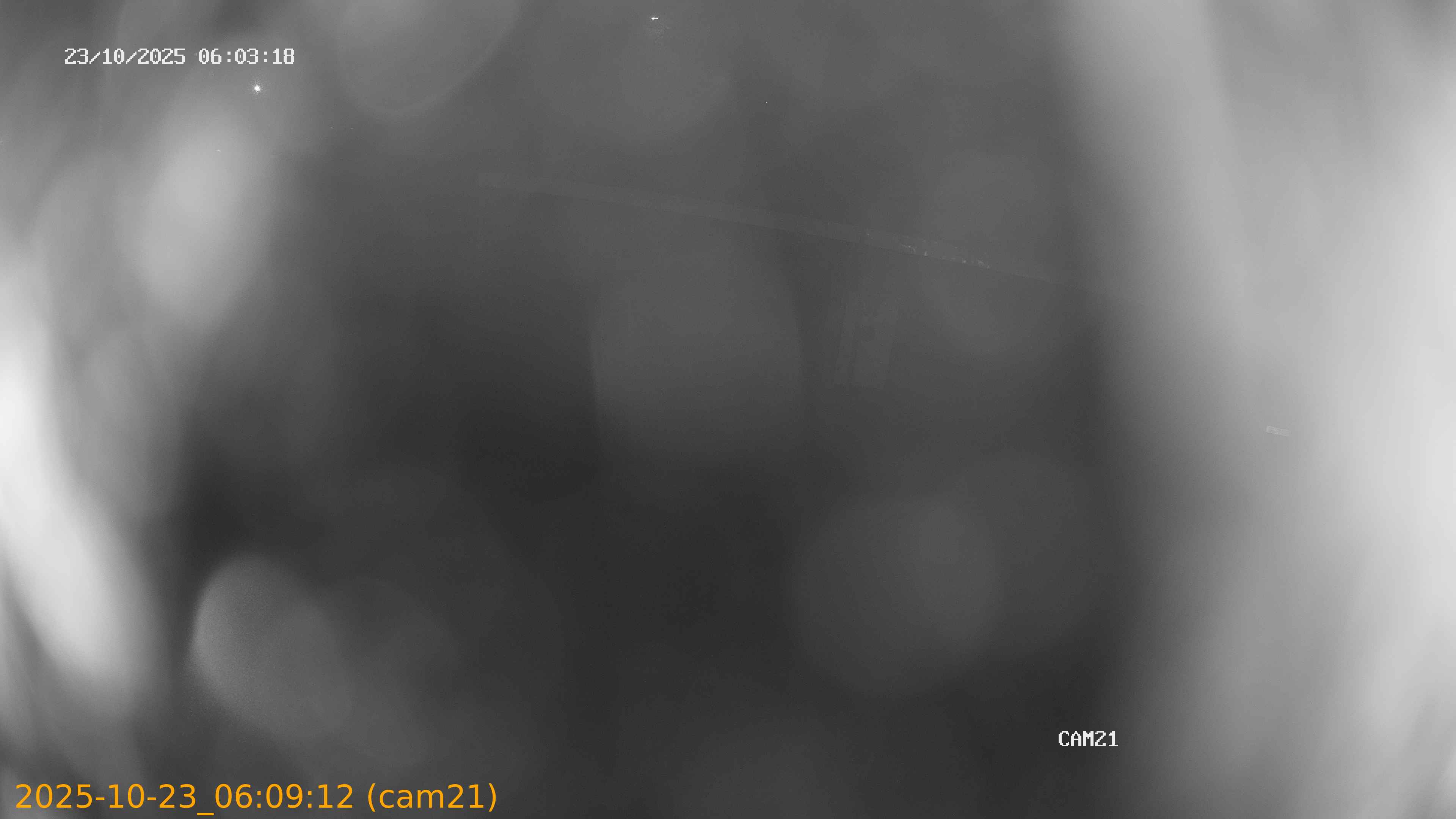 20251023060912