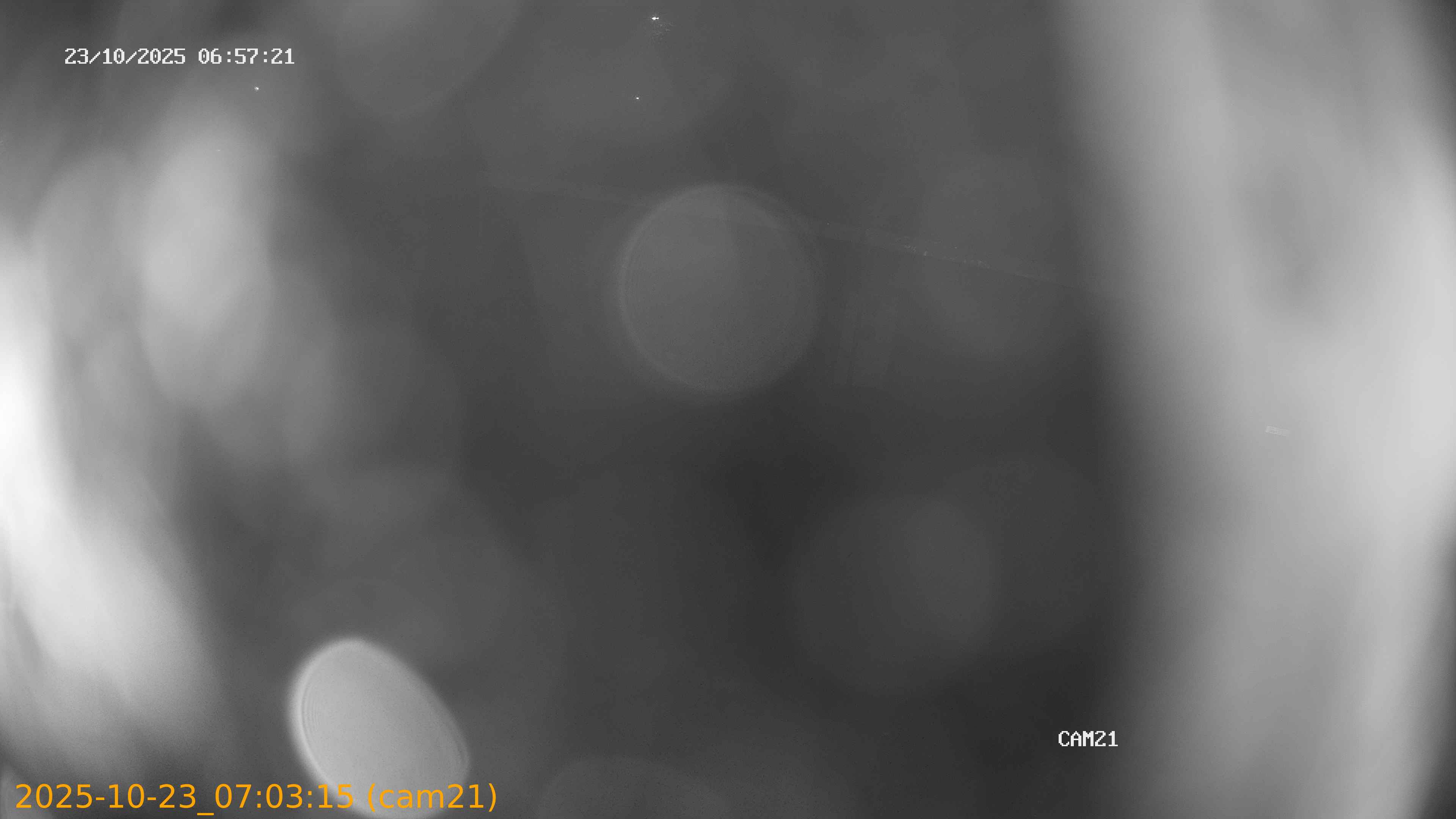 20251023070315