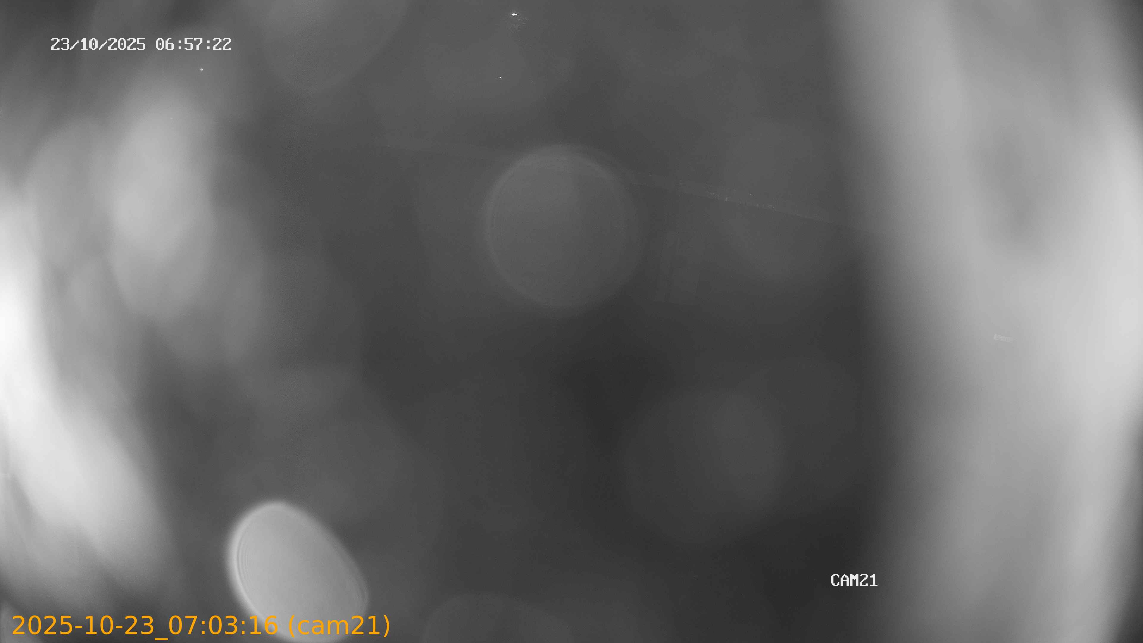 20251023070316