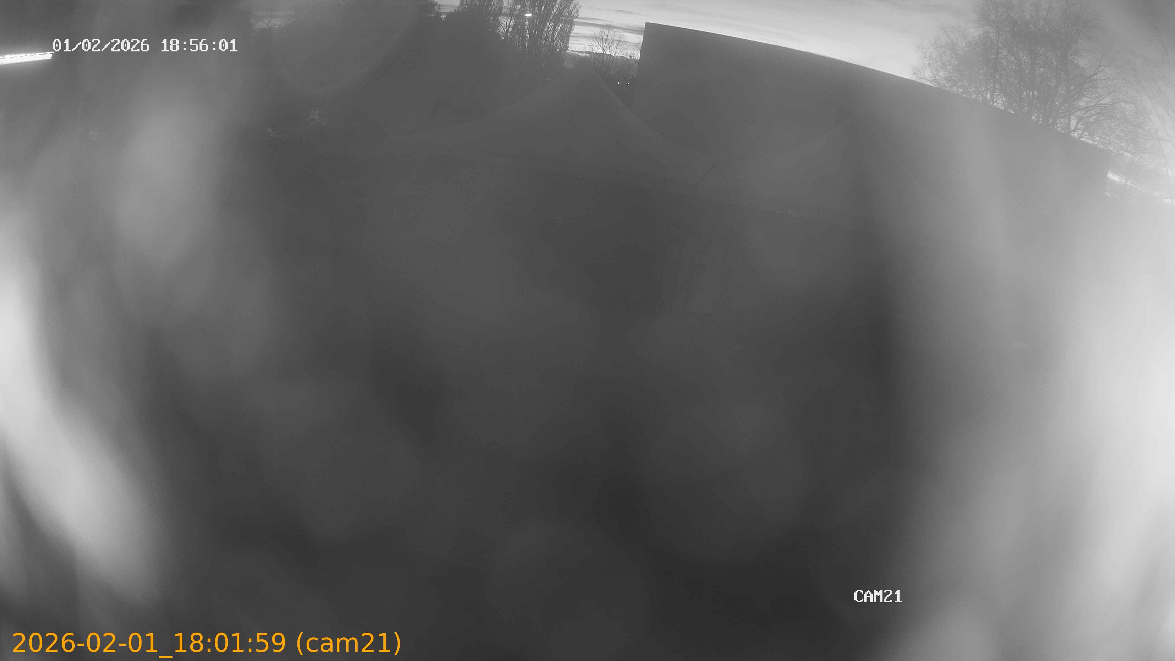 thumbnail_202602011801