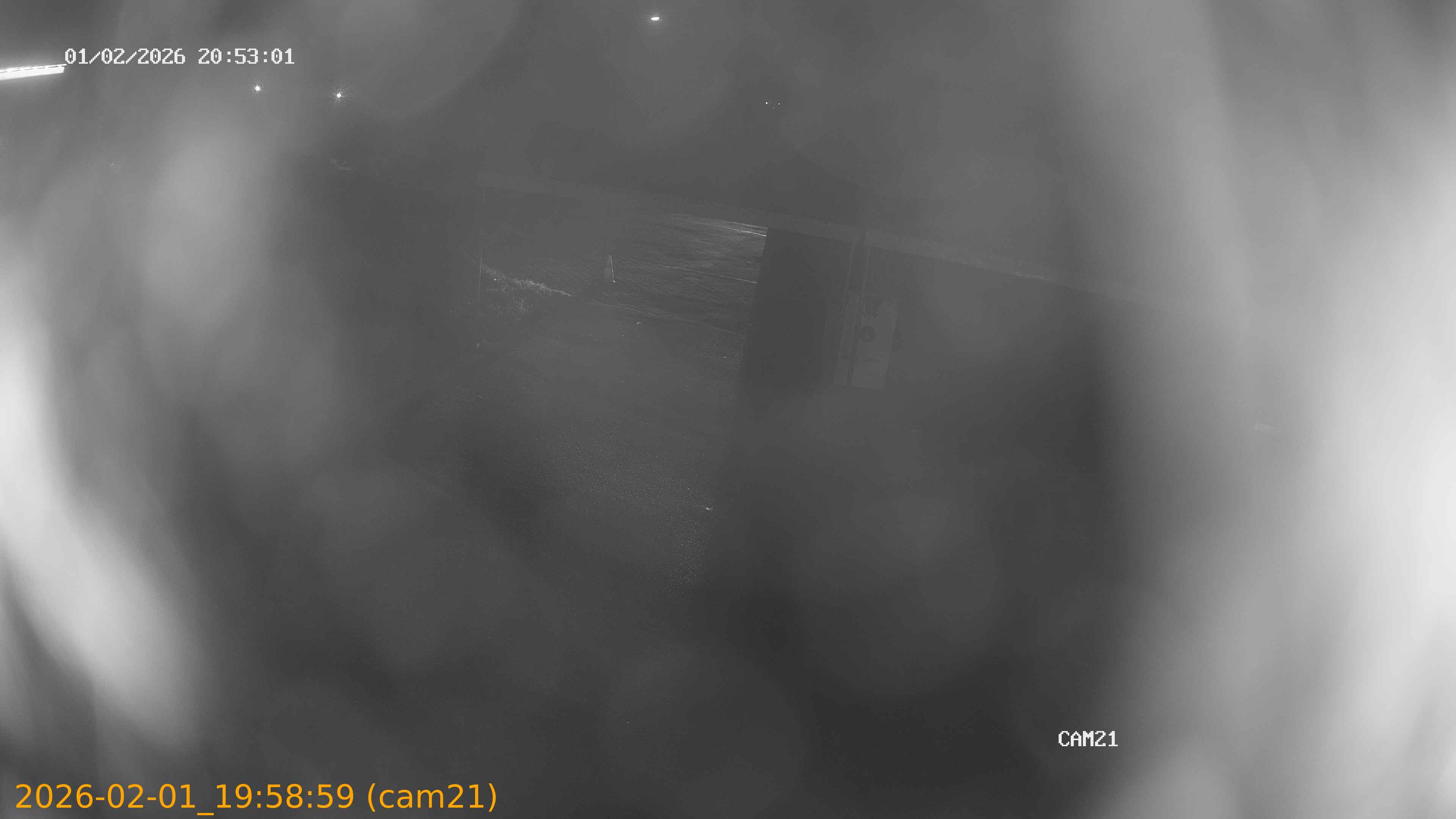 thumbnail_202602011958