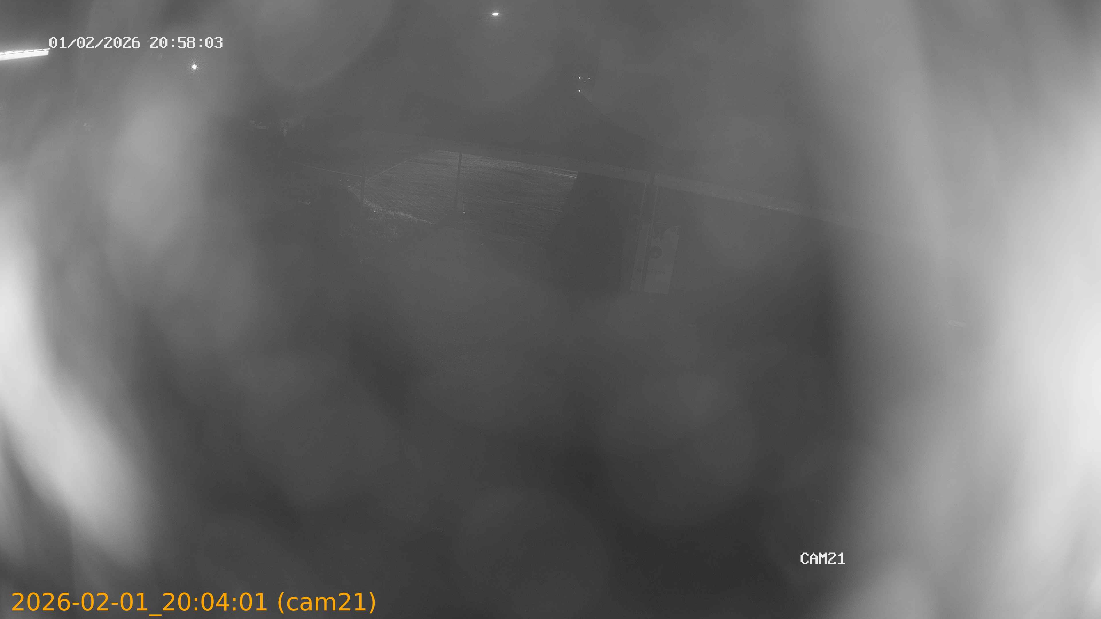 thumbnail_20260201200401