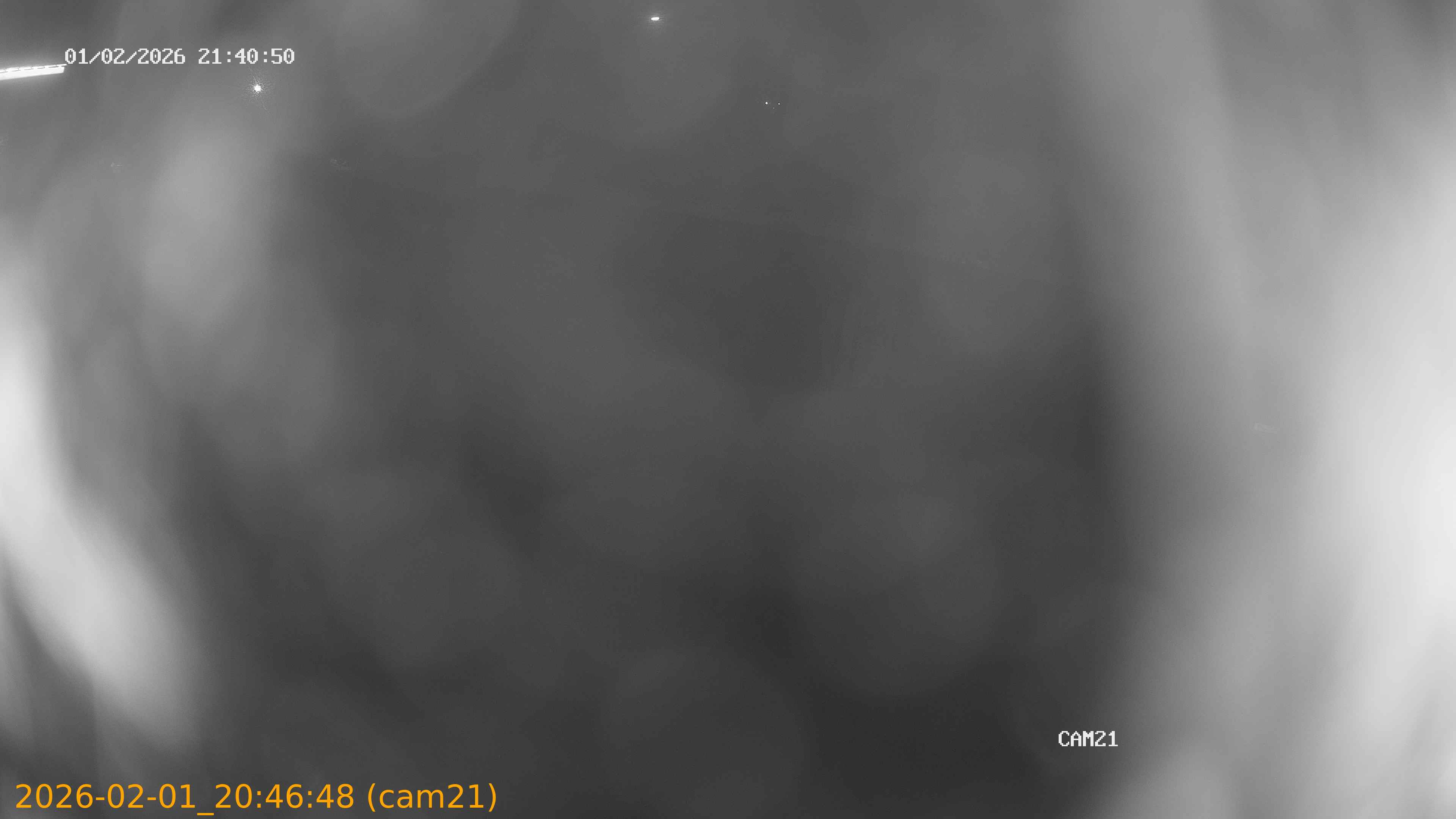 thumbnail_20260201204648