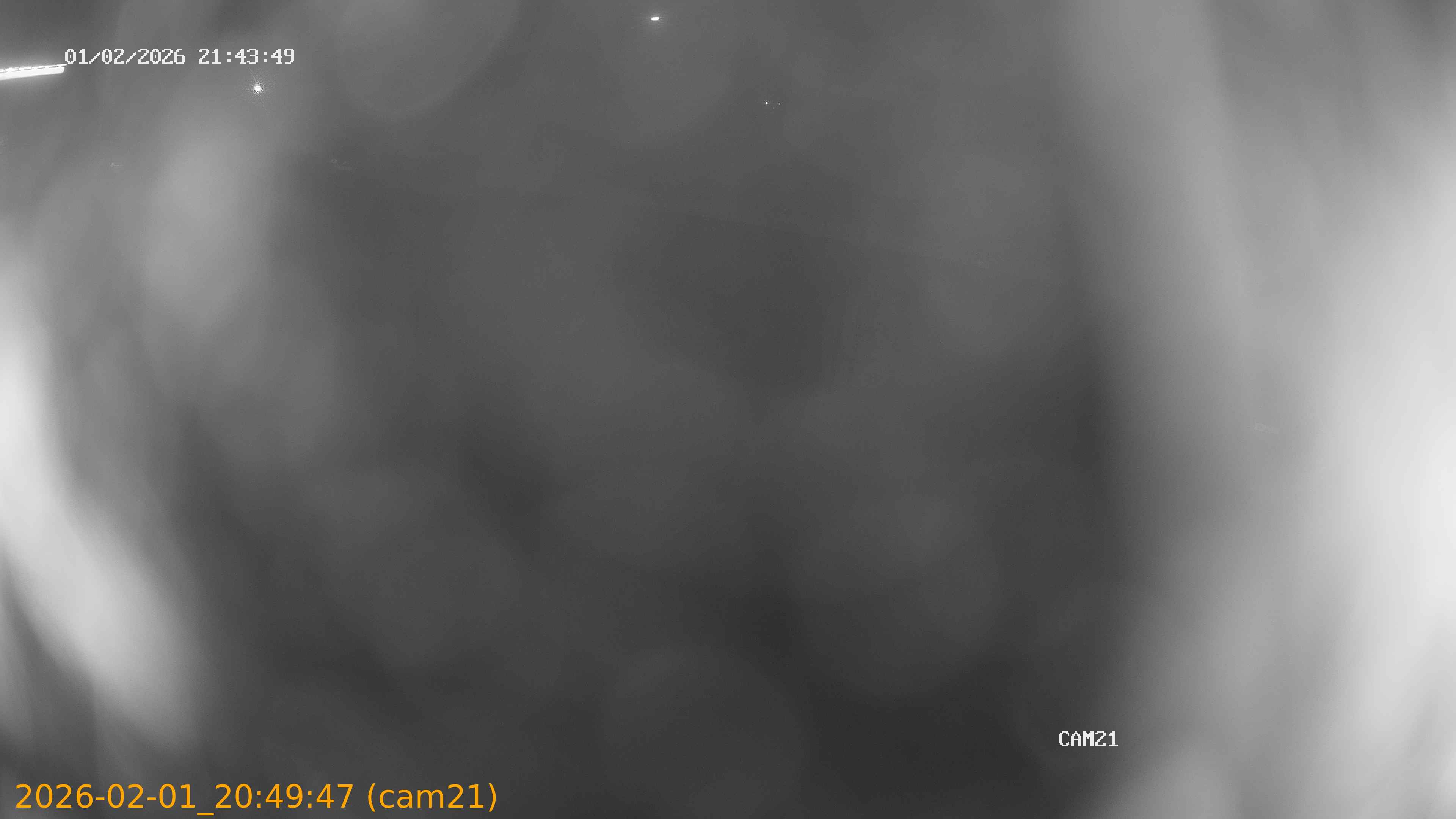 thumbnail_20260201204947