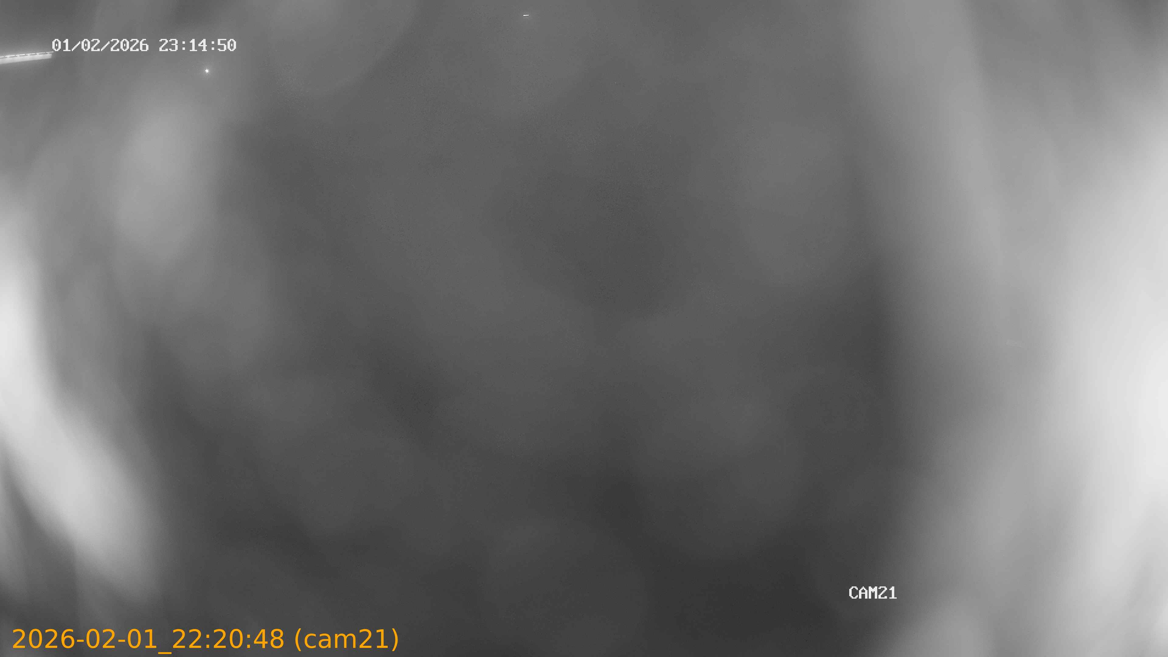 thumbnail_20260201222048