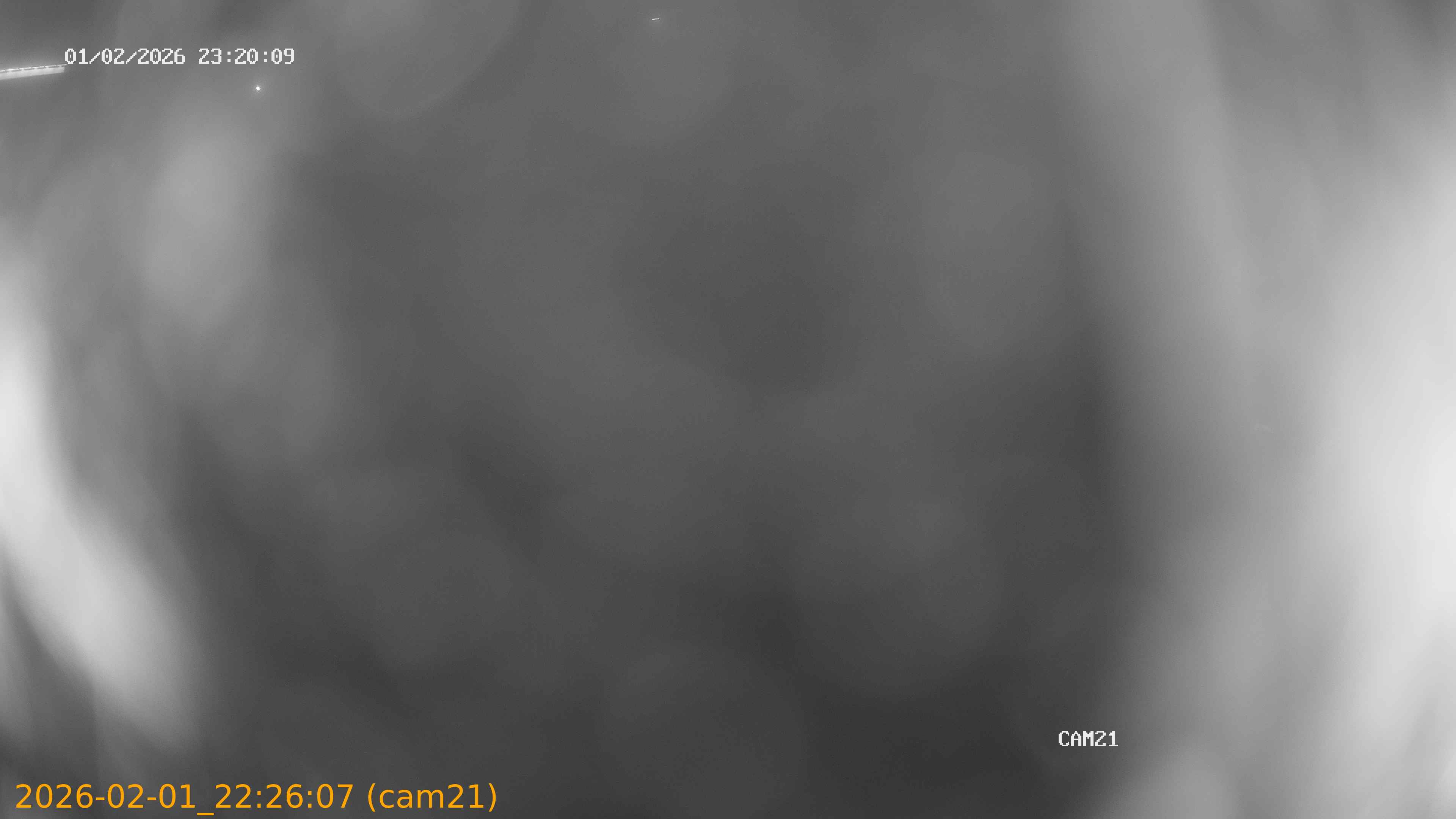 thumbnail_20260201222607