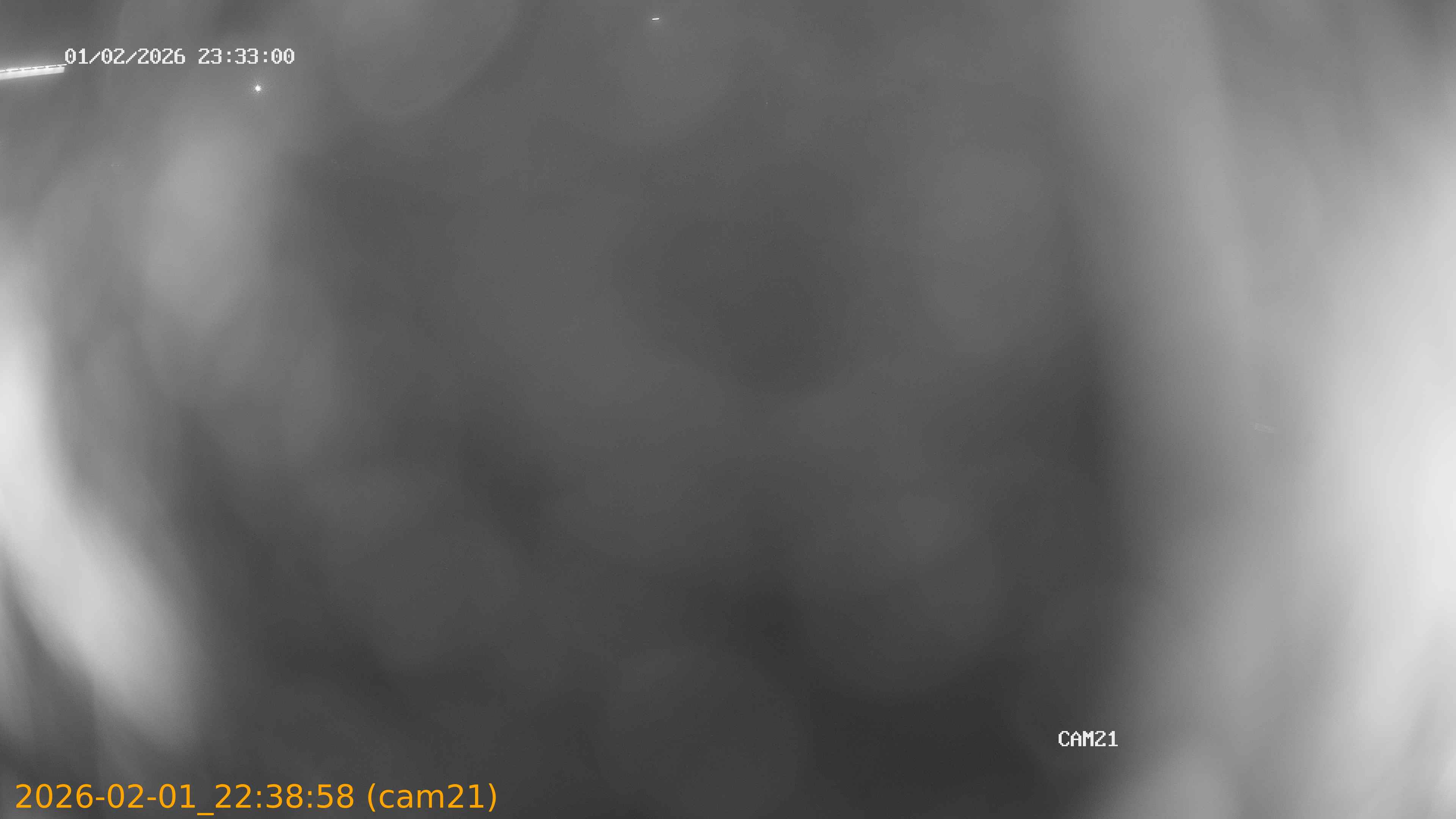 thumbnail_20260201223858