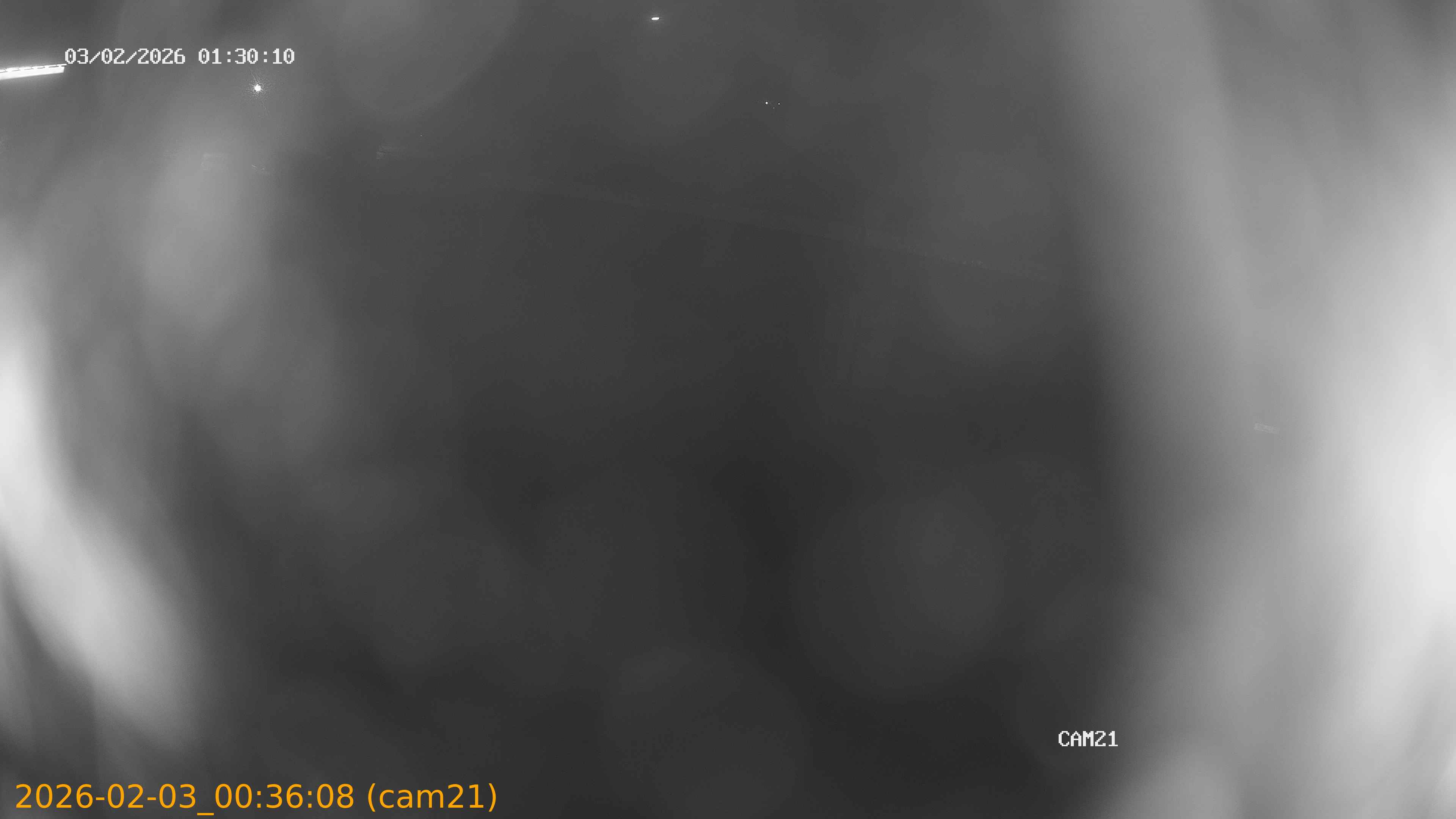 thumbnail_20260203003608