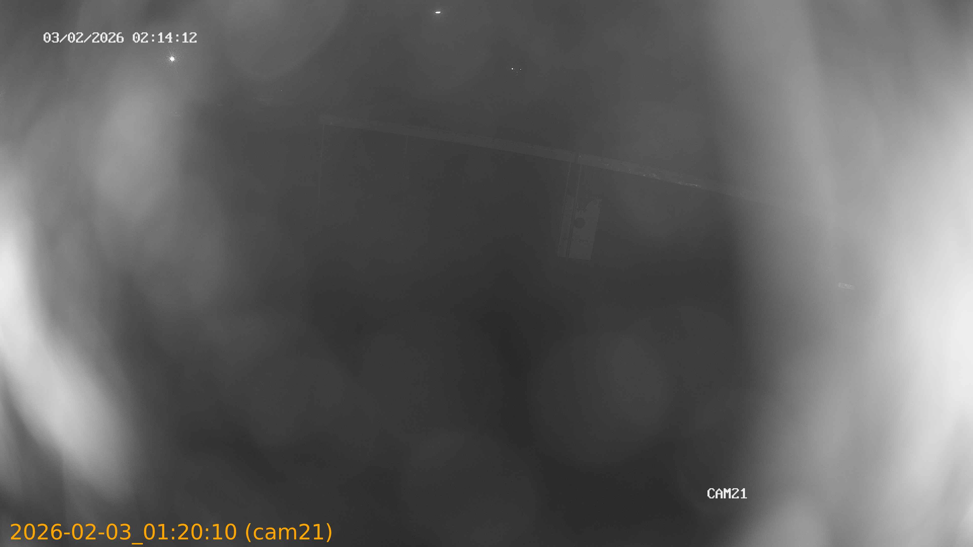 thumbnail_20260203012010