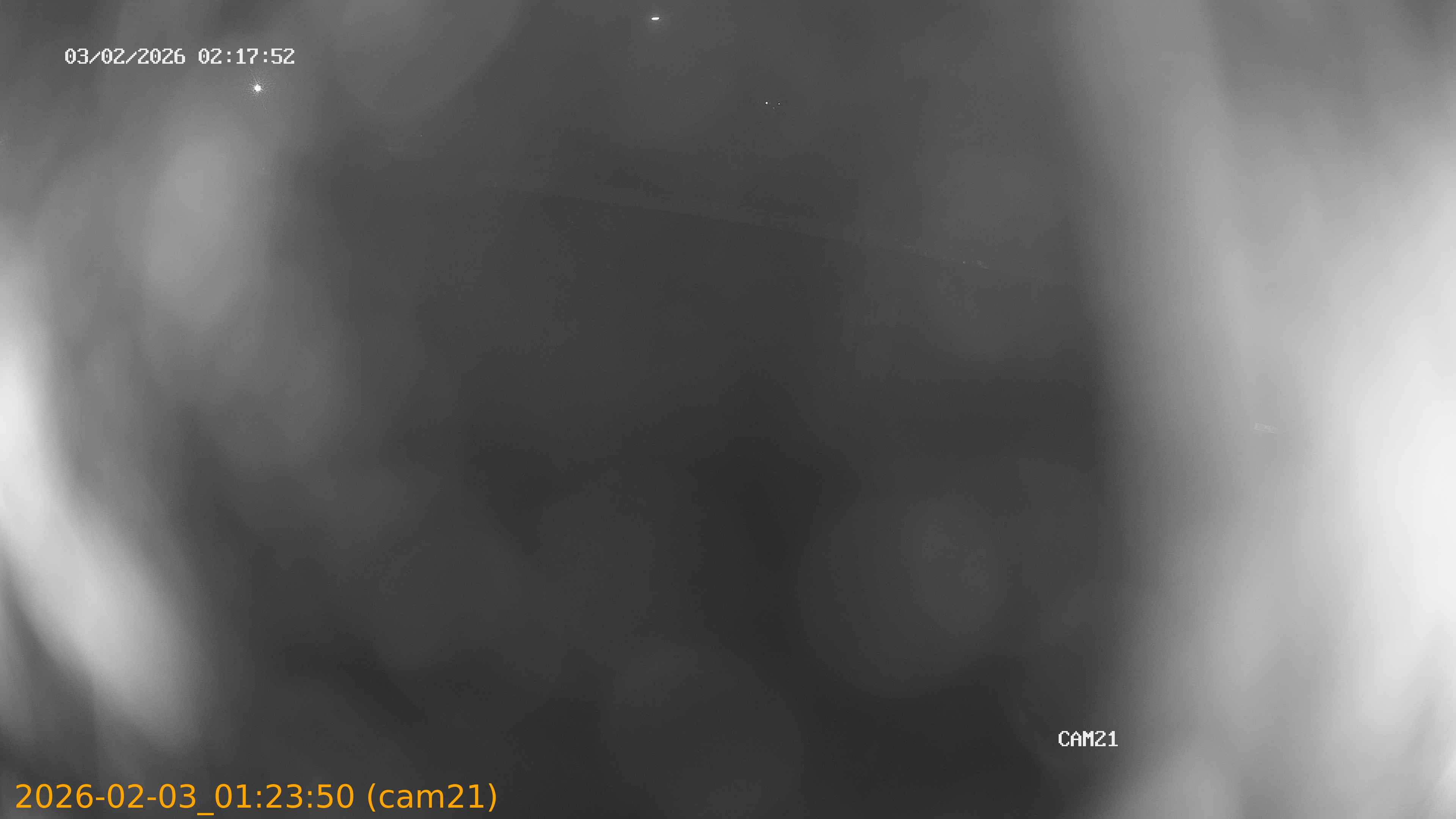 thumbnail_20260203012350