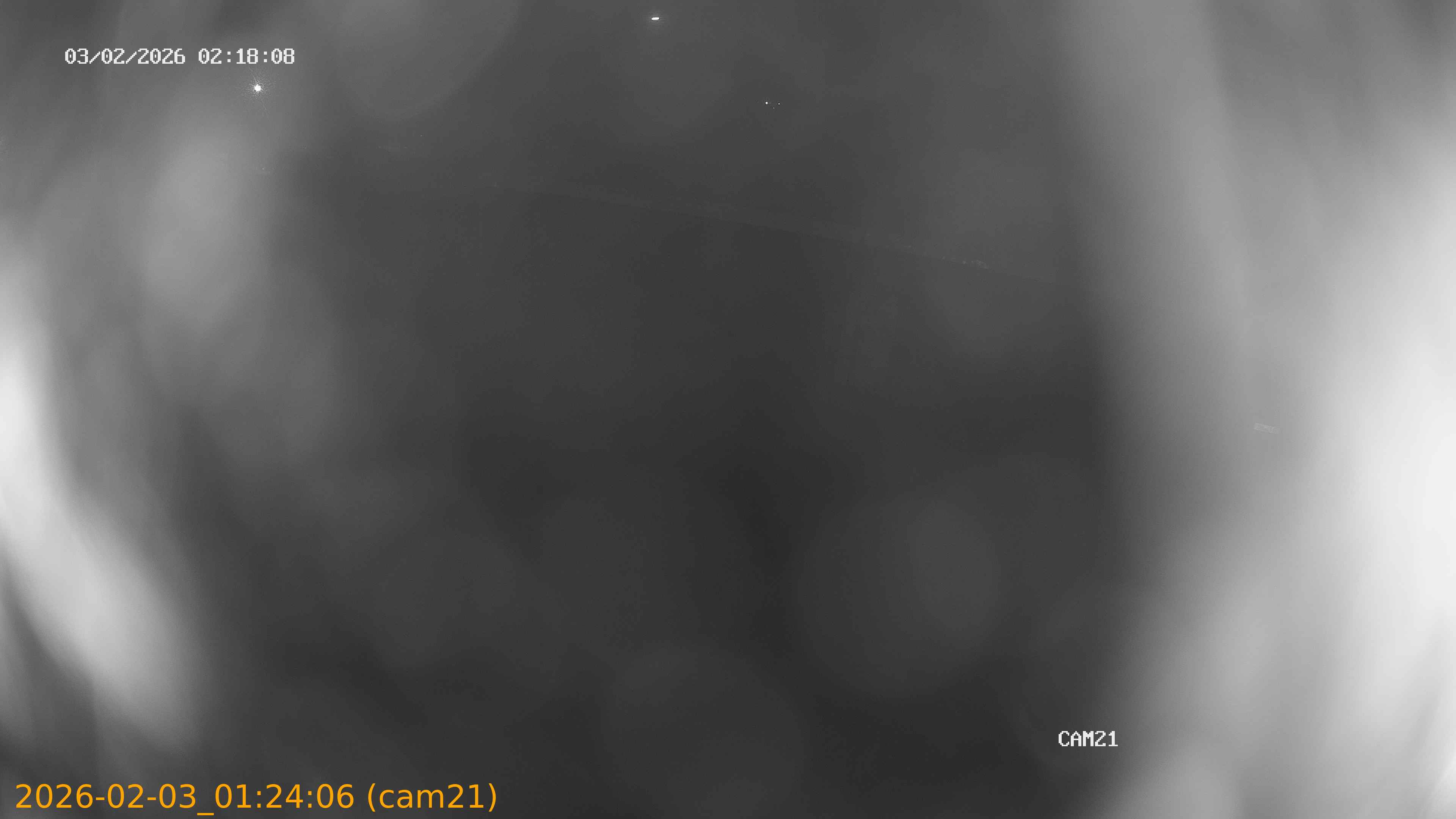 thumbnail_20260203012406