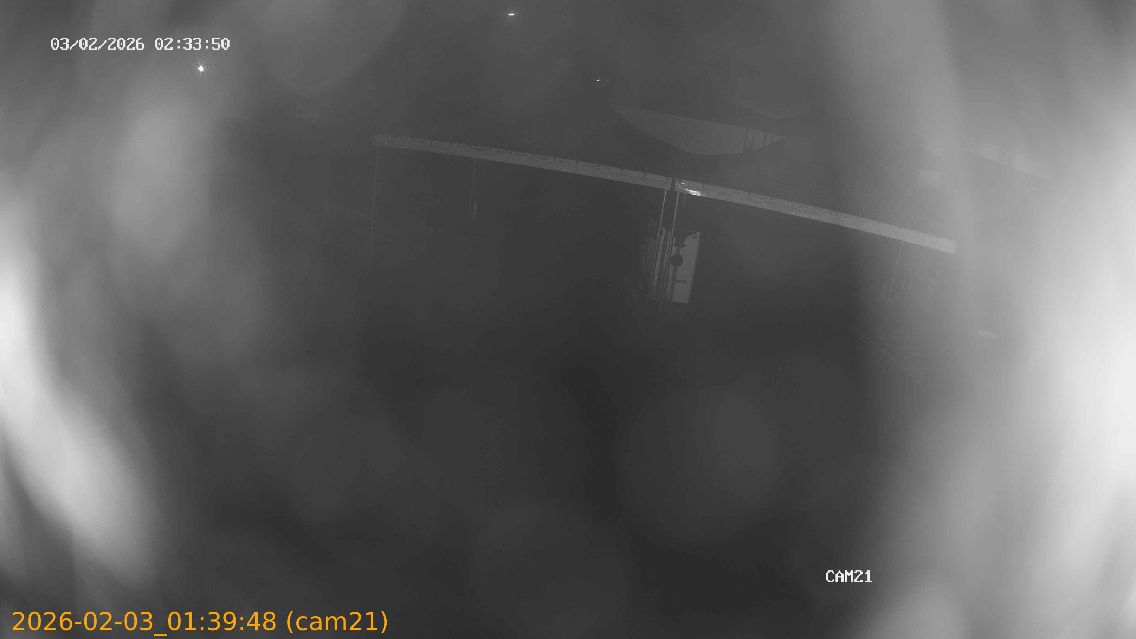 thumbnail_20260203013948