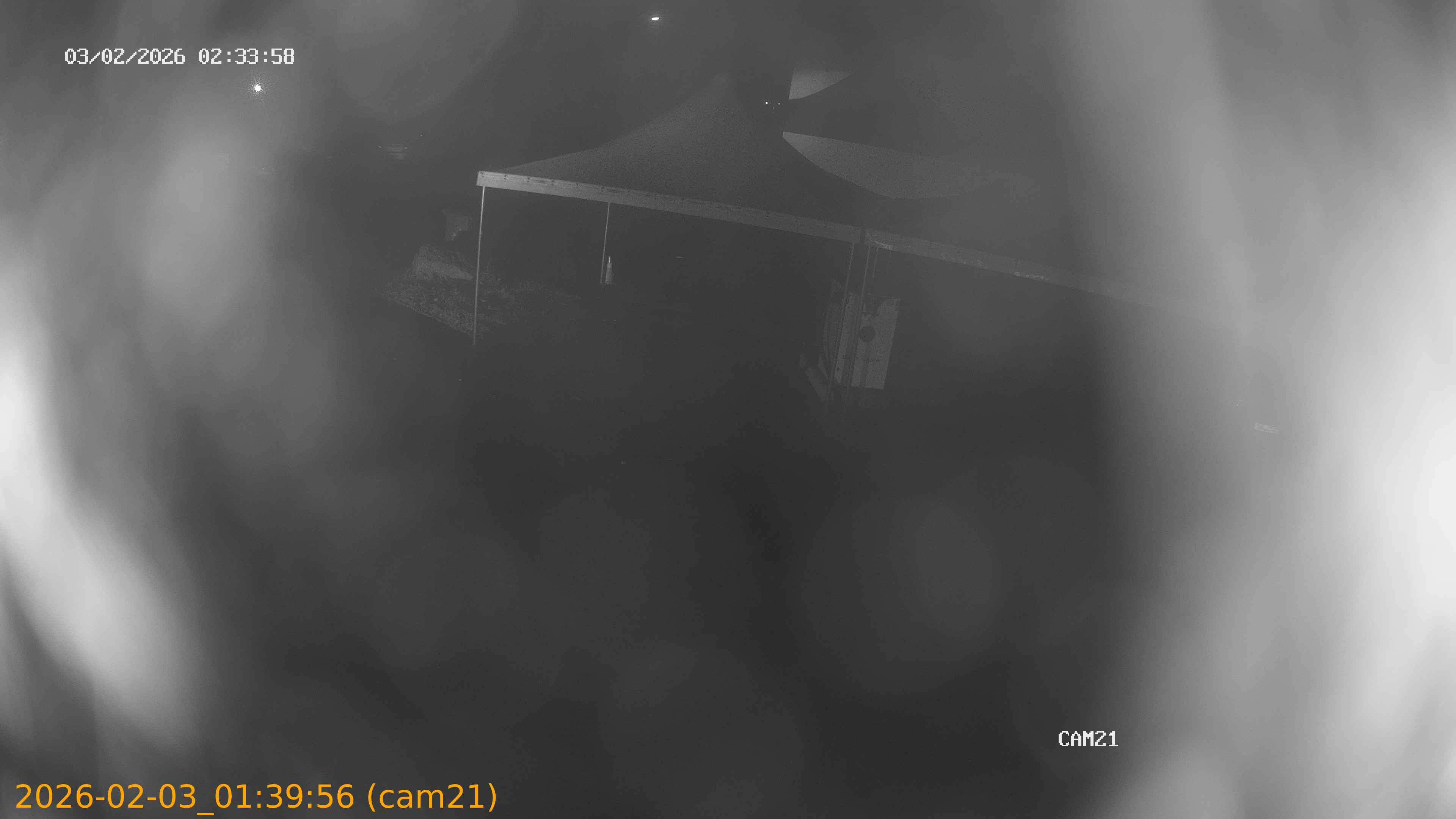 thumbnail_20260203013956