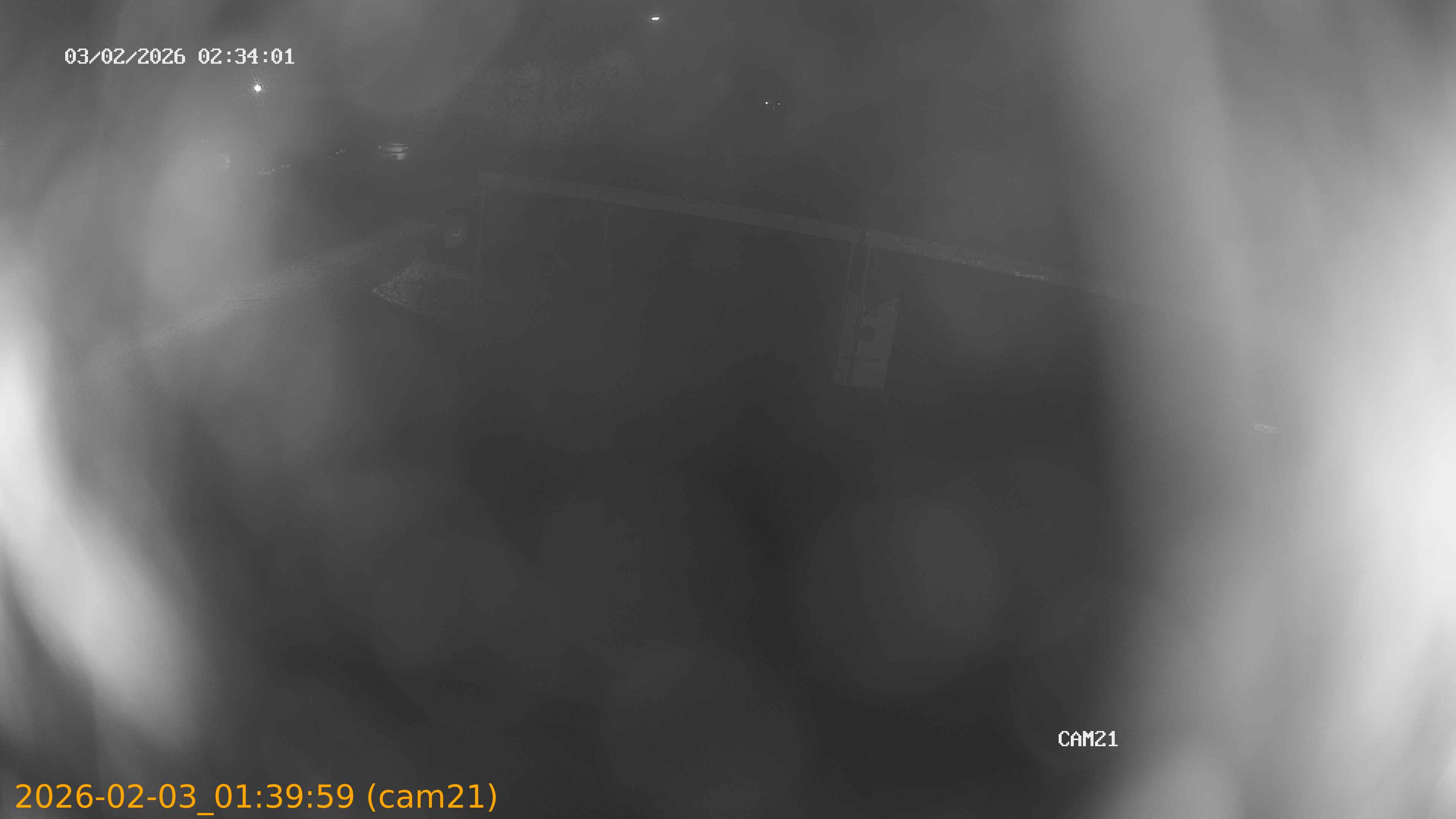 thumbnail_20260203013959