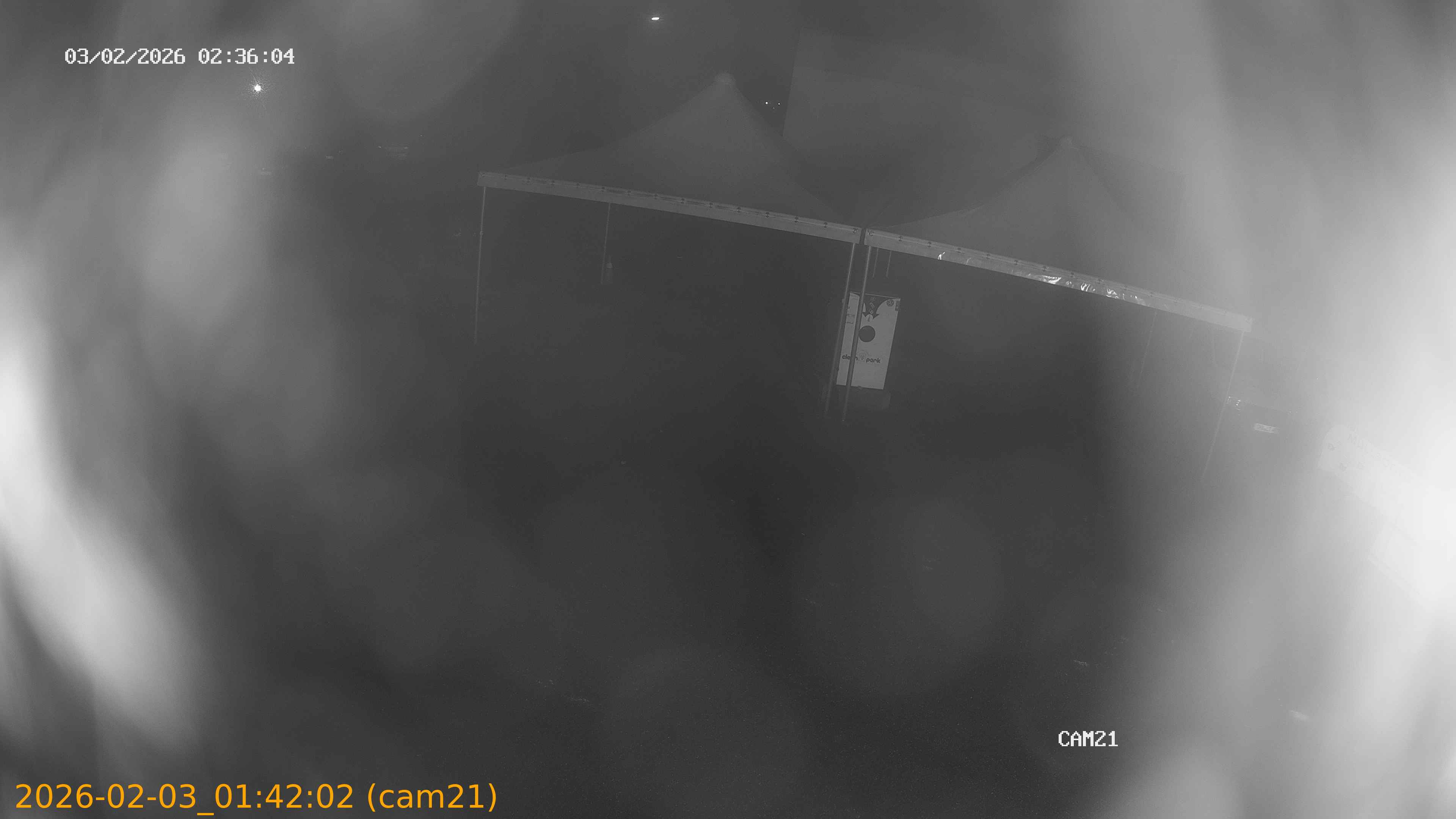 thumbnail_20260203014202