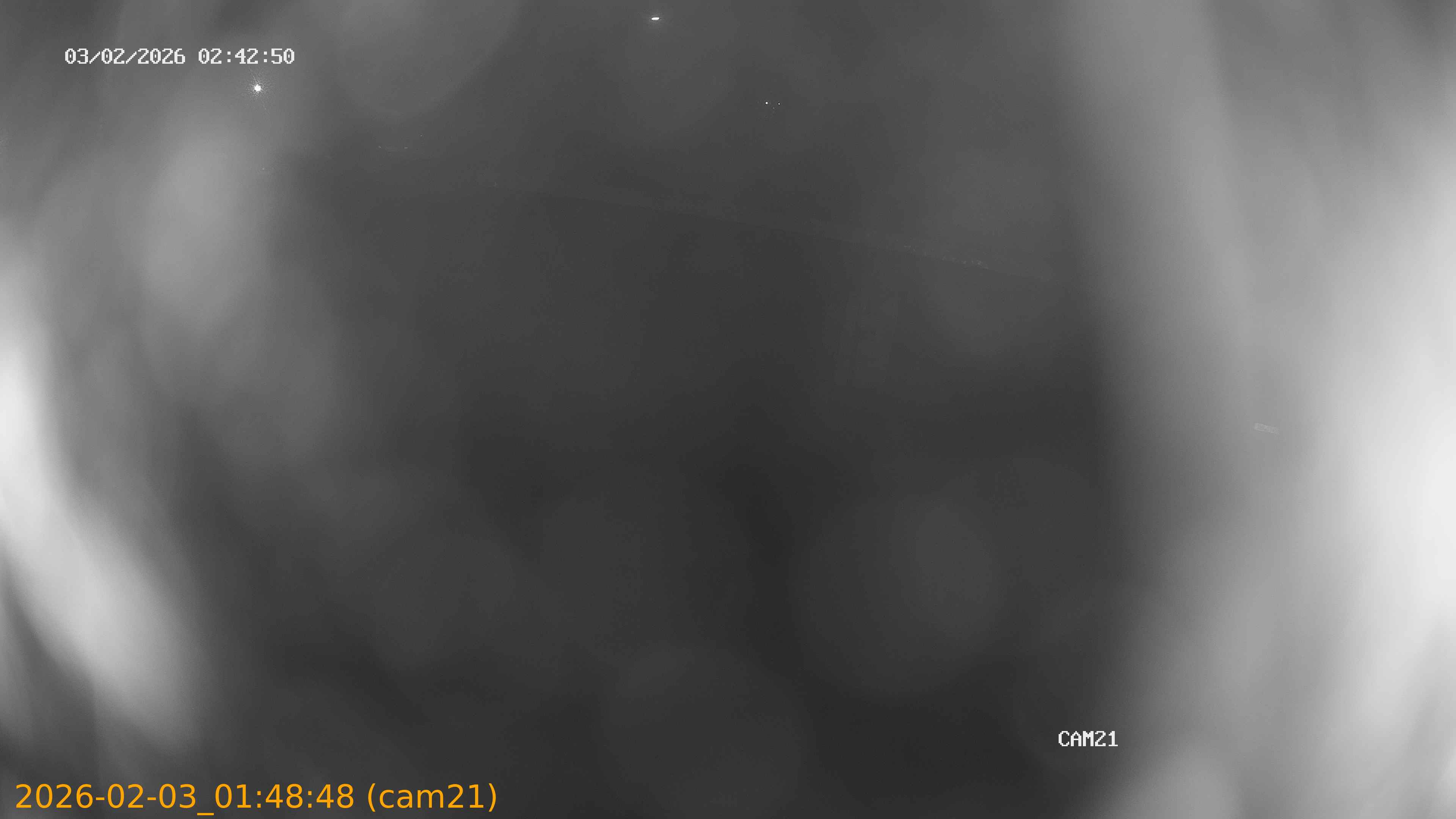 thumbnail_20260203014848