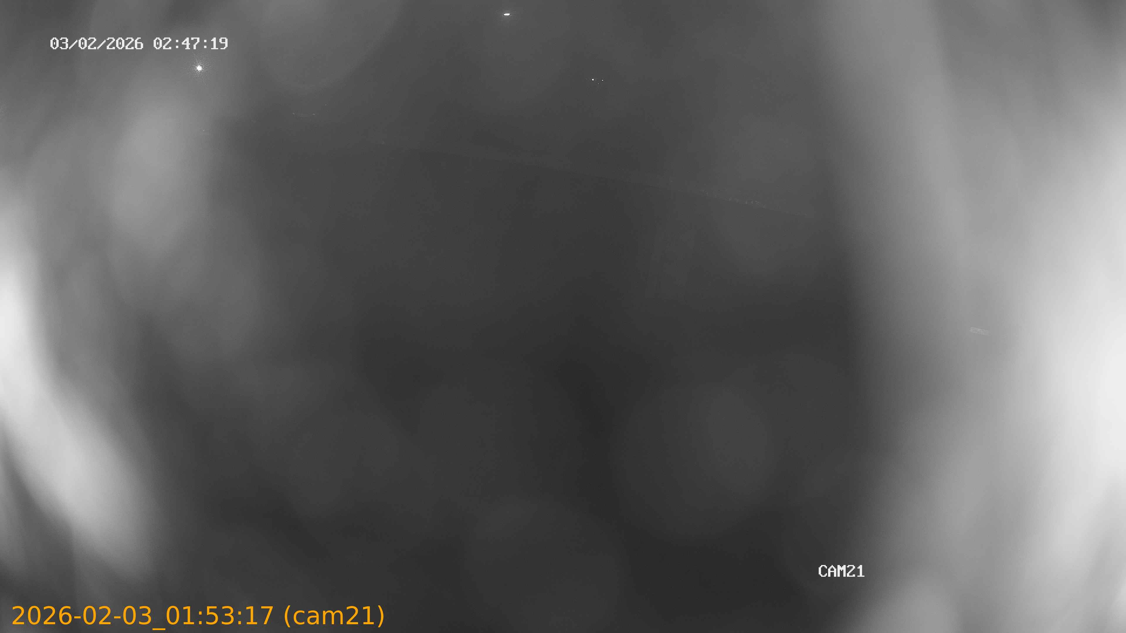 thumbnail_20260203015317