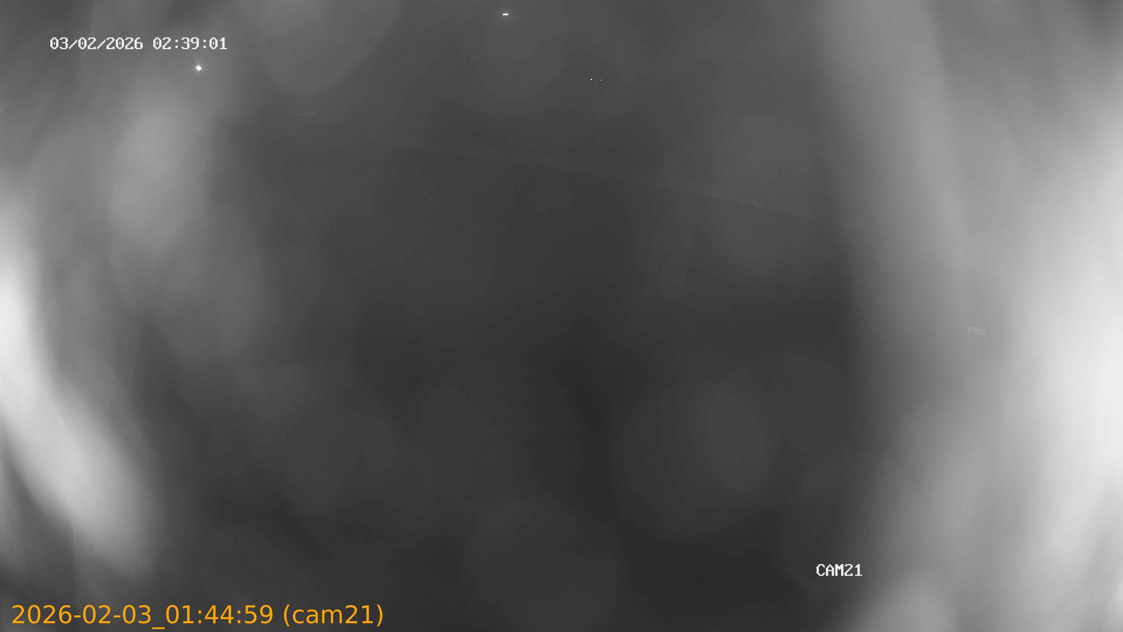 thumbnail_202602030144