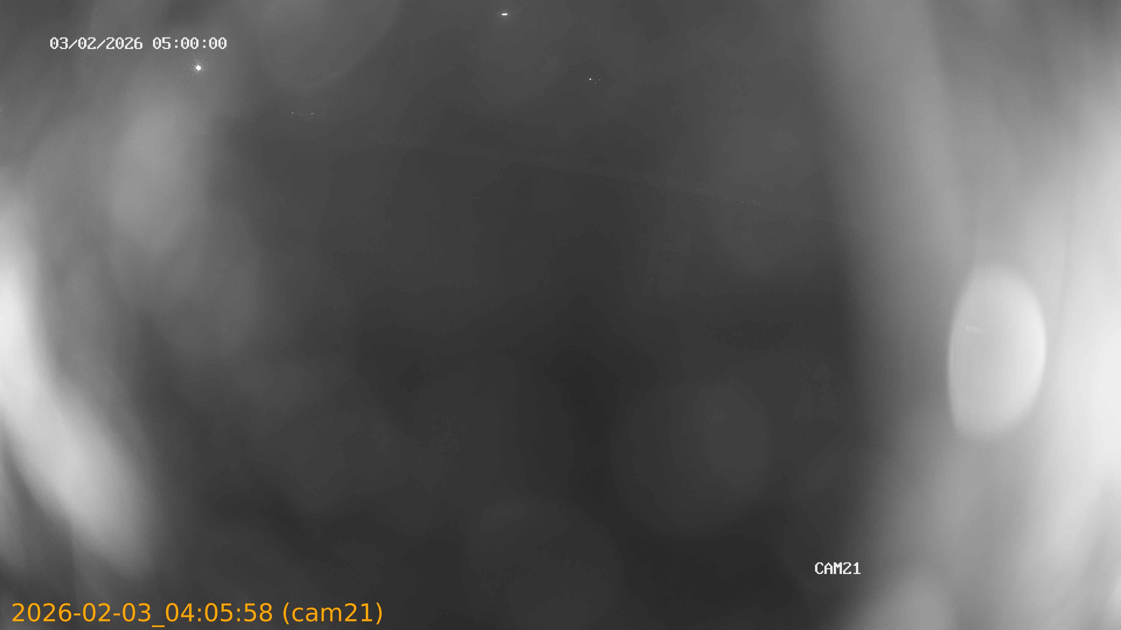 thumbnail_20260203040558