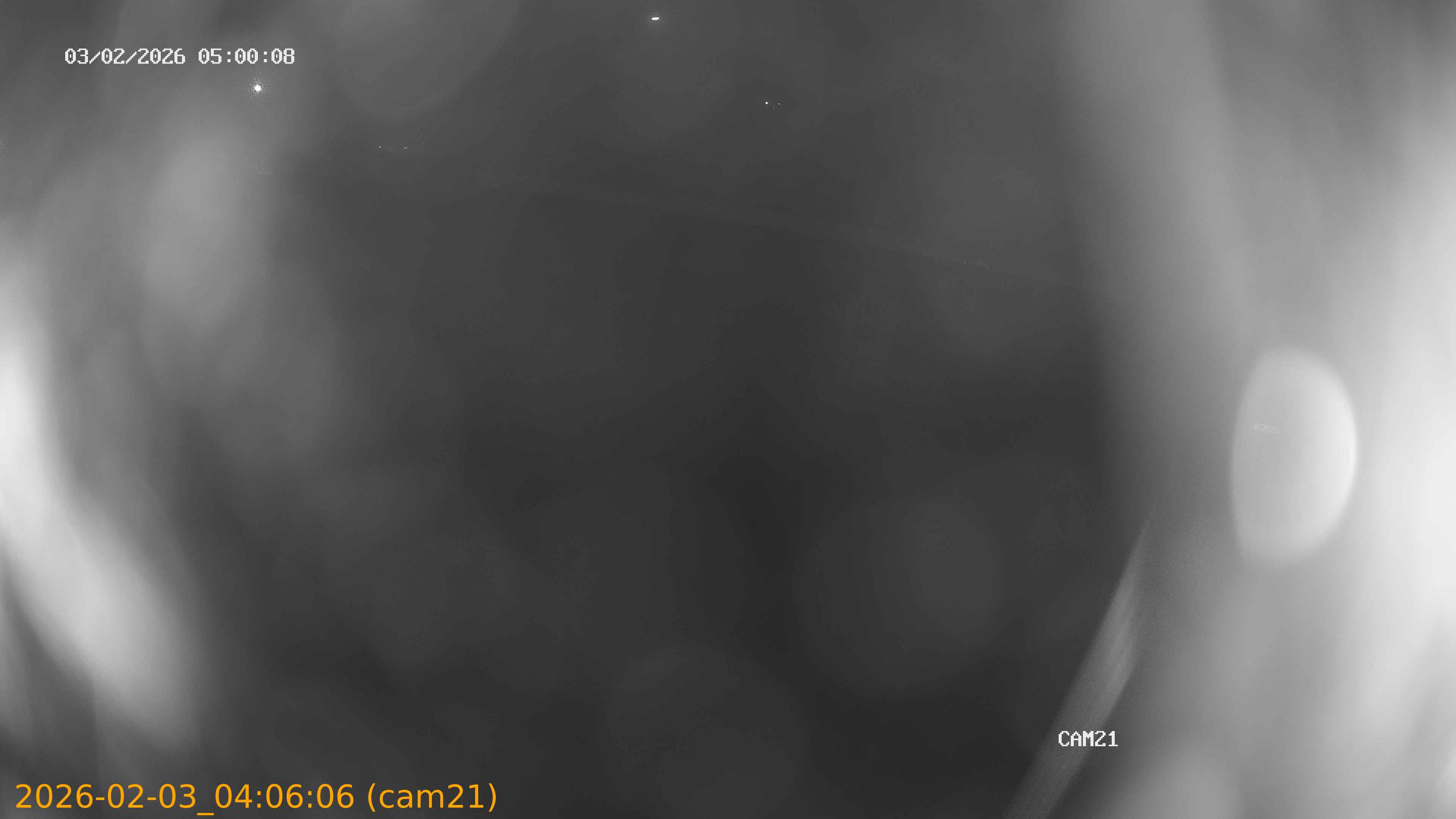 thumbnail_20260203040606