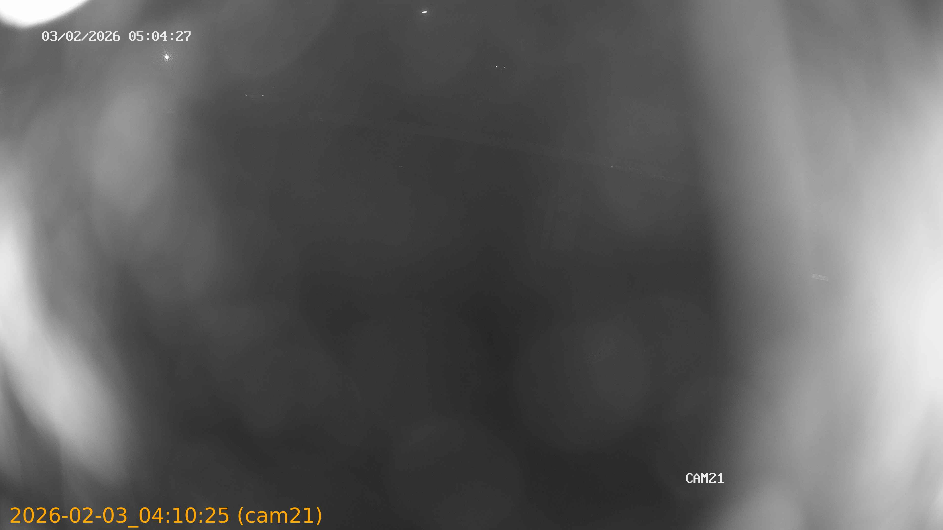 thumbnail_20260203041025