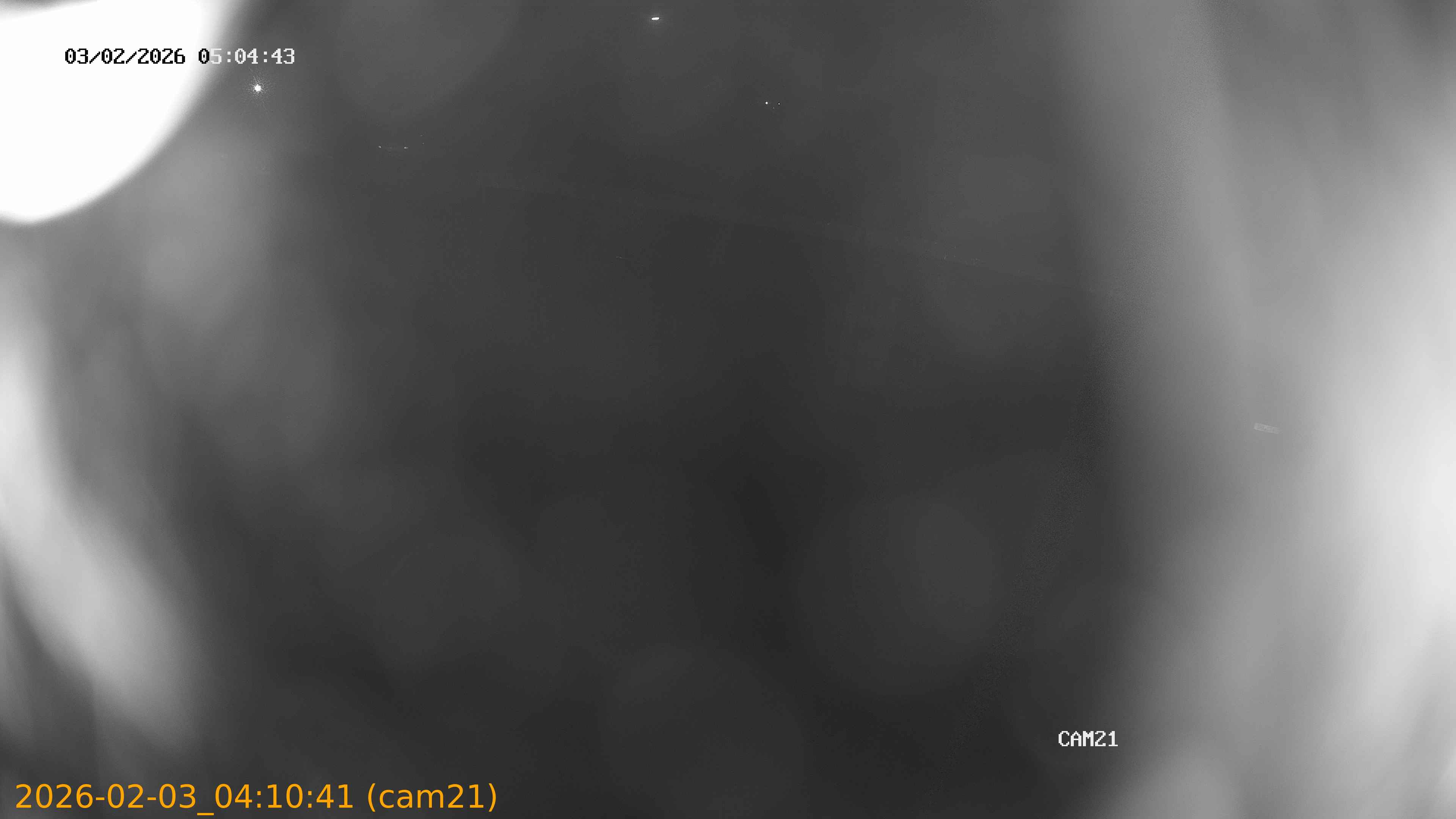 thumbnail_20260203041041