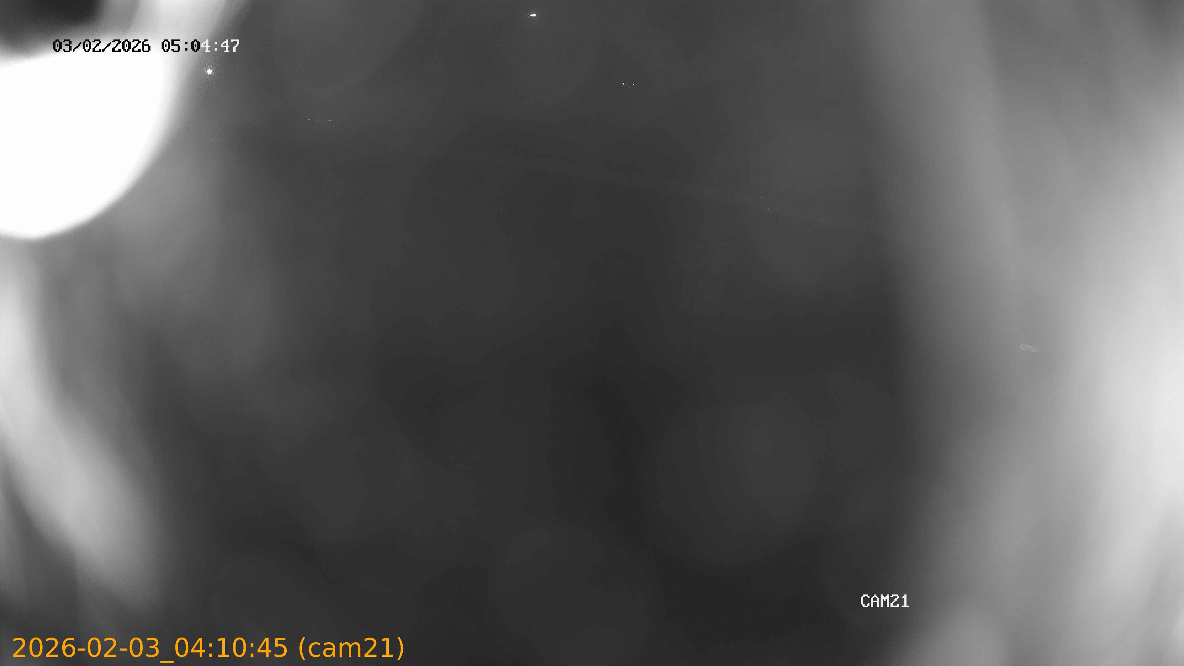 thumbnail_20260203041045