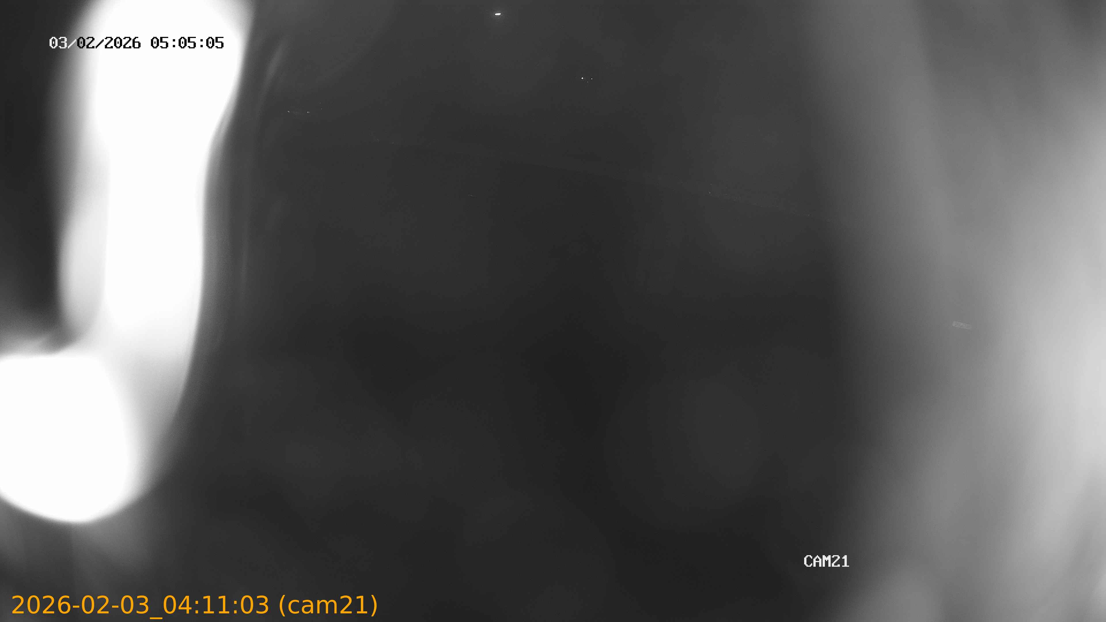 thumbnail_20260203041103