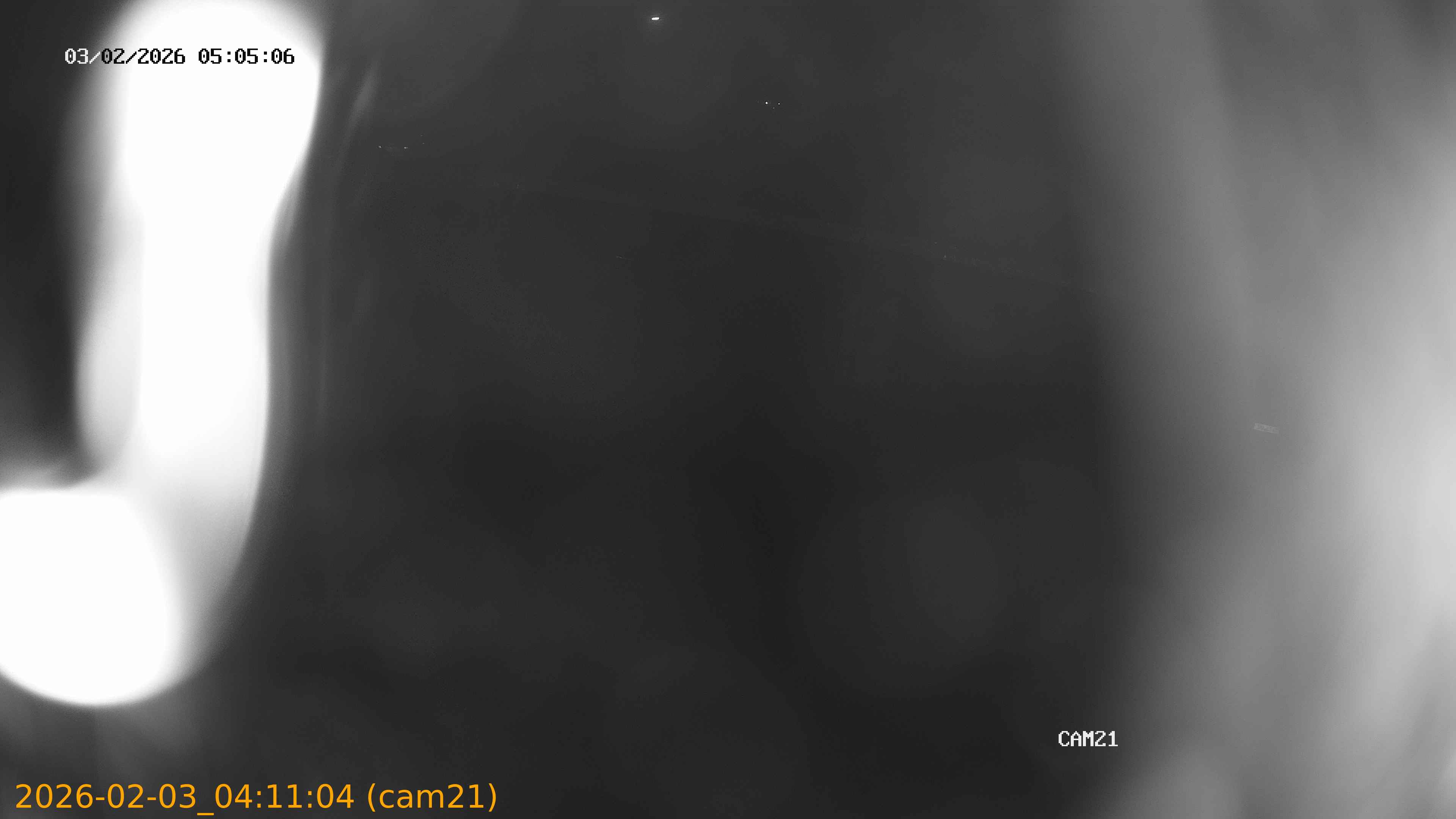 thumbnail_20260203041104