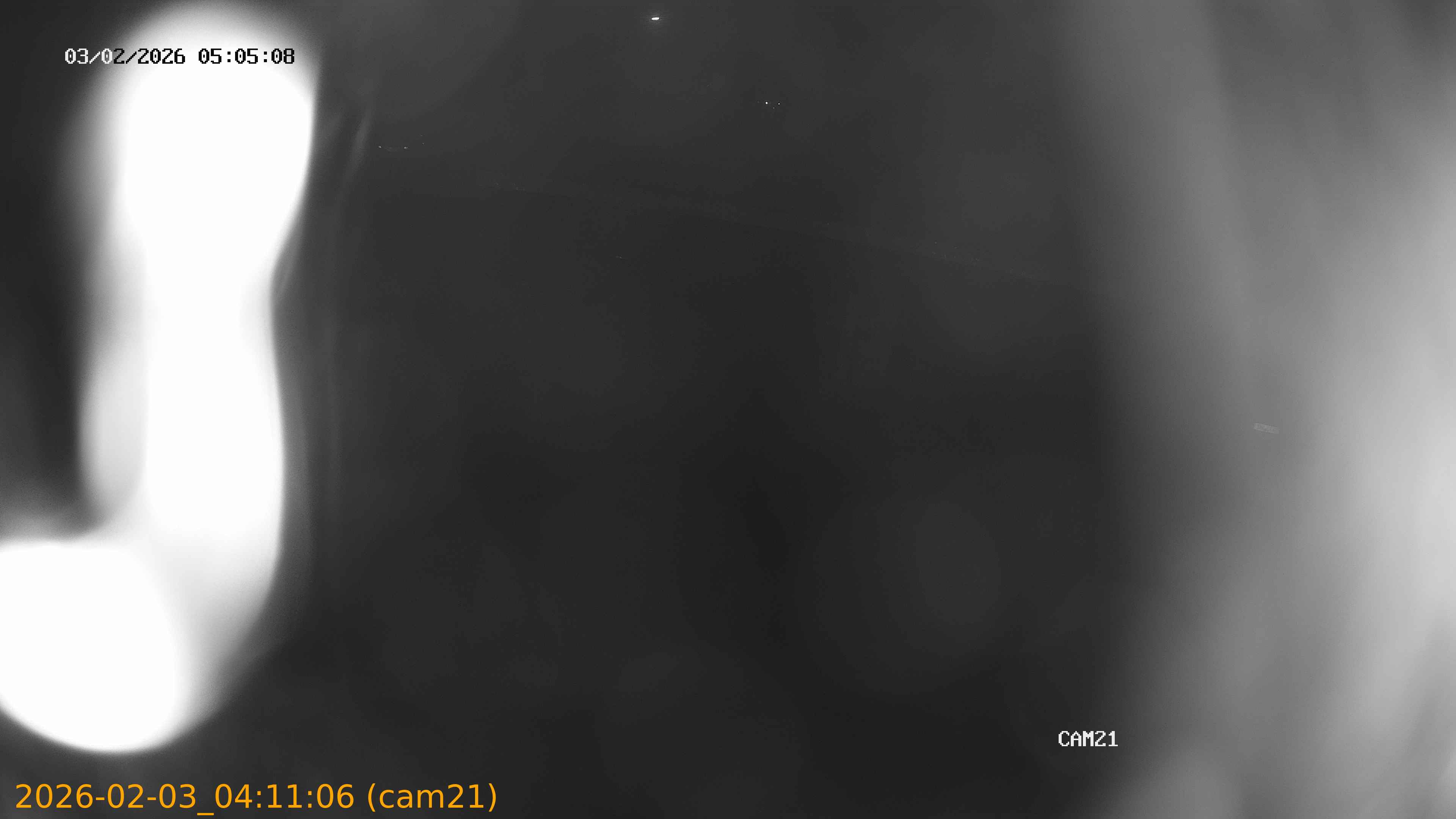 thumbnail_20260203041106