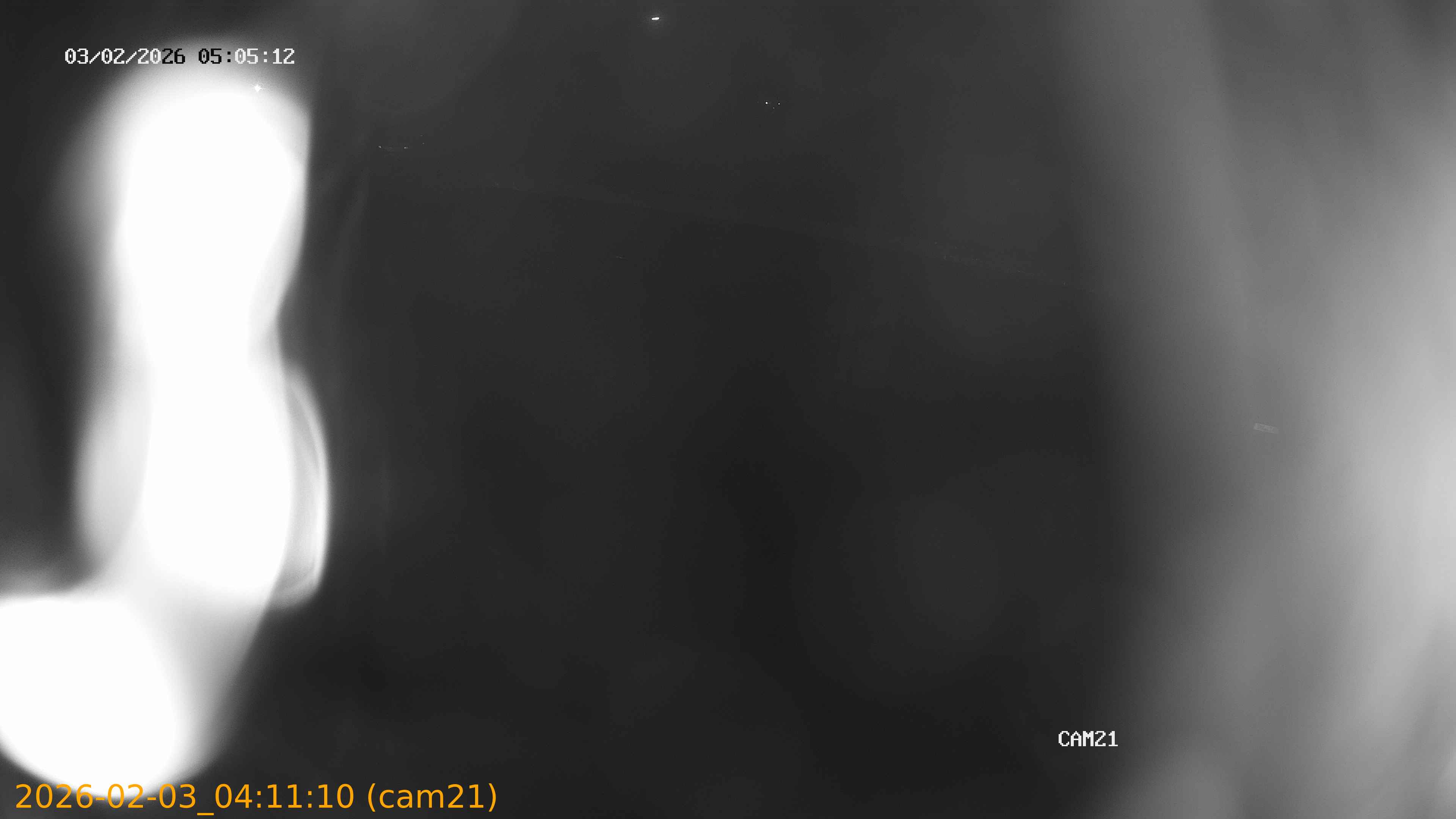 thumbnail_20260203041110