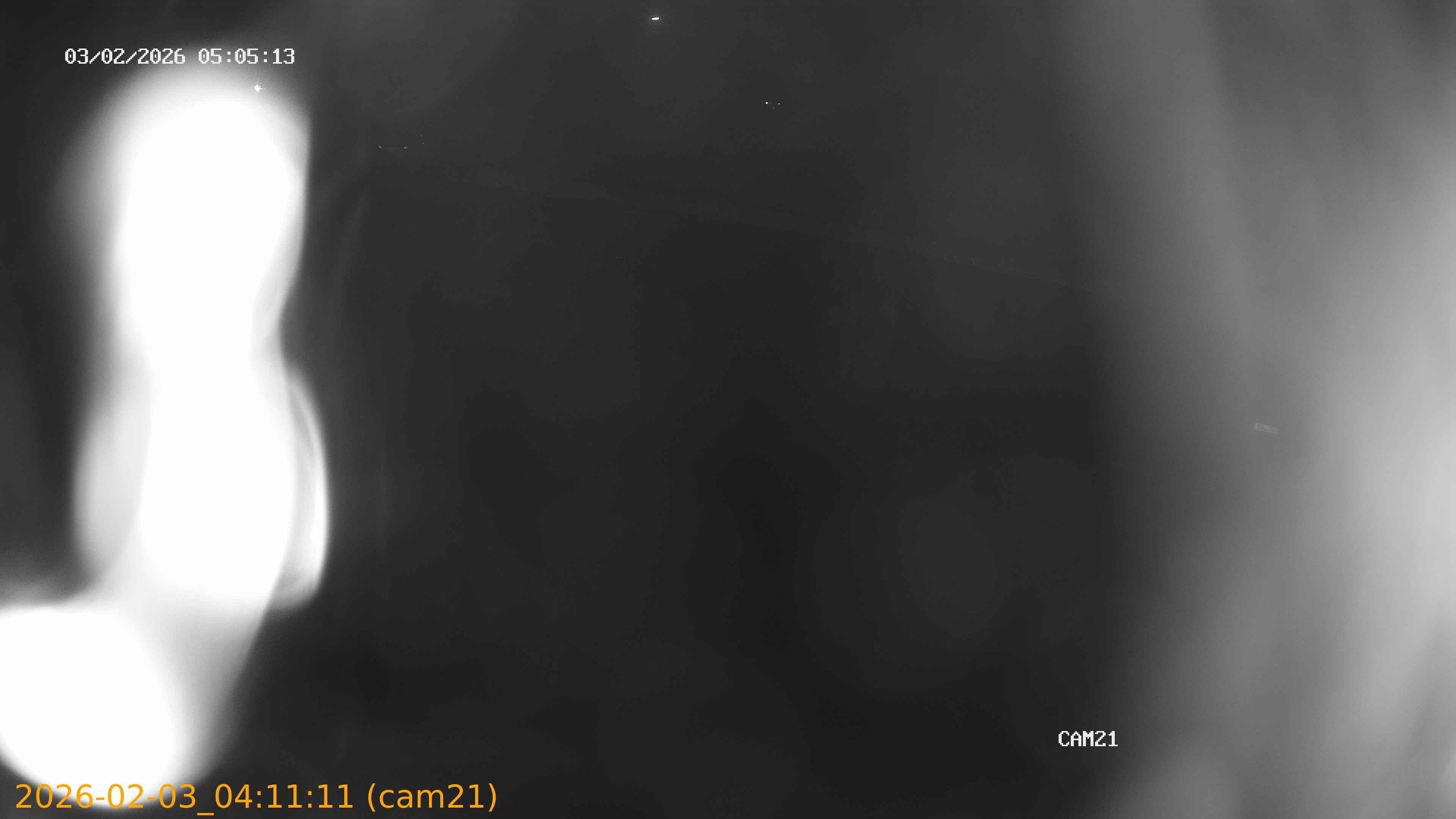 thumbnail_20260203041111